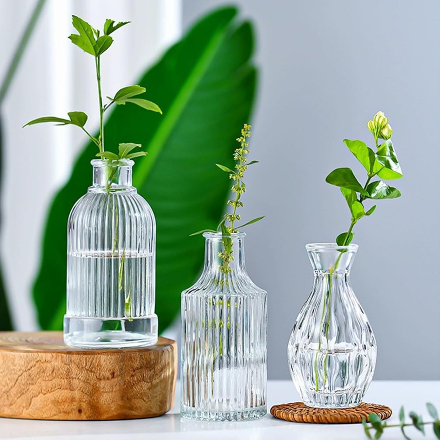 Glass Bud Vase in Bulk / Clear / Set of 8