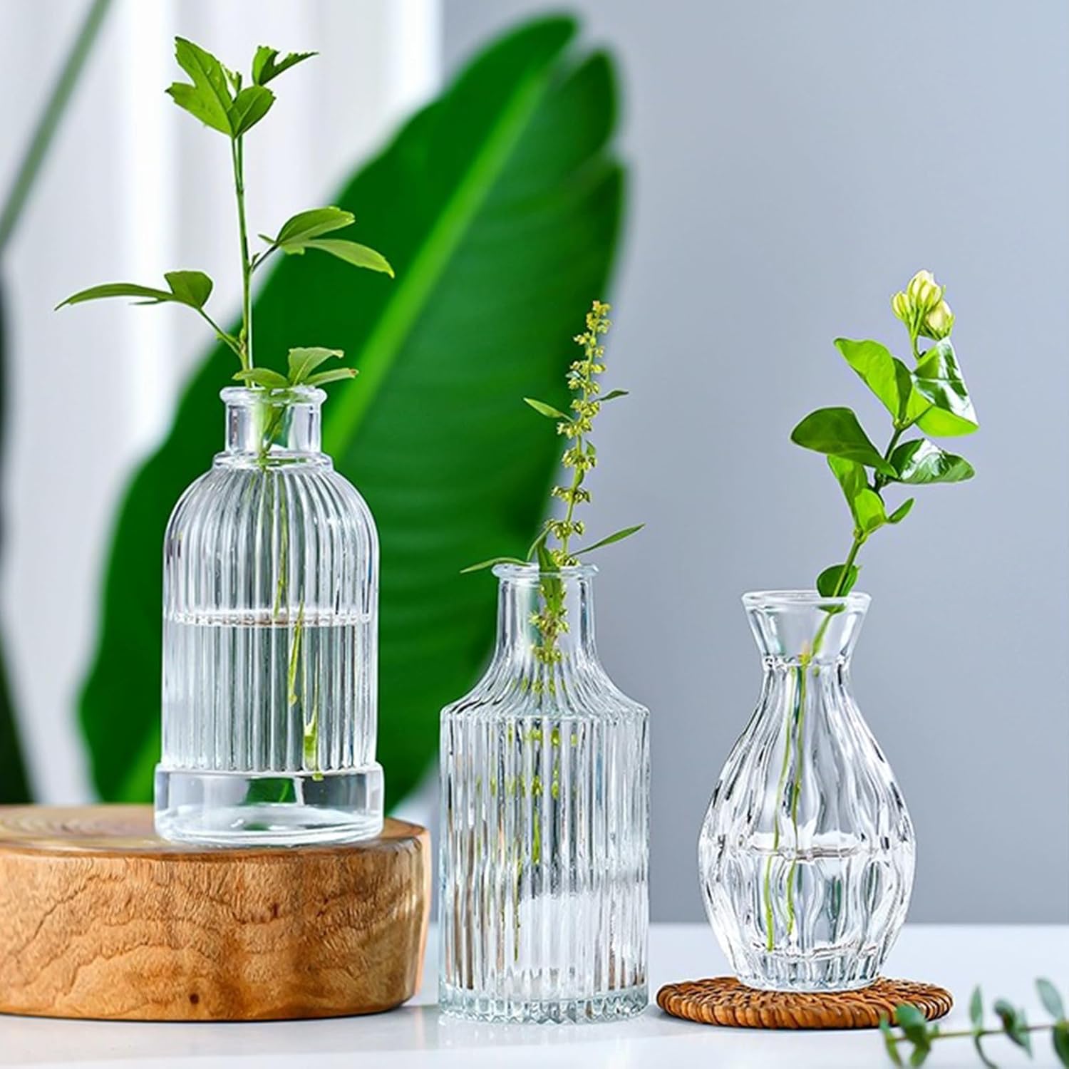Glass Bud Vase in Bulk / Clear / Set of 8