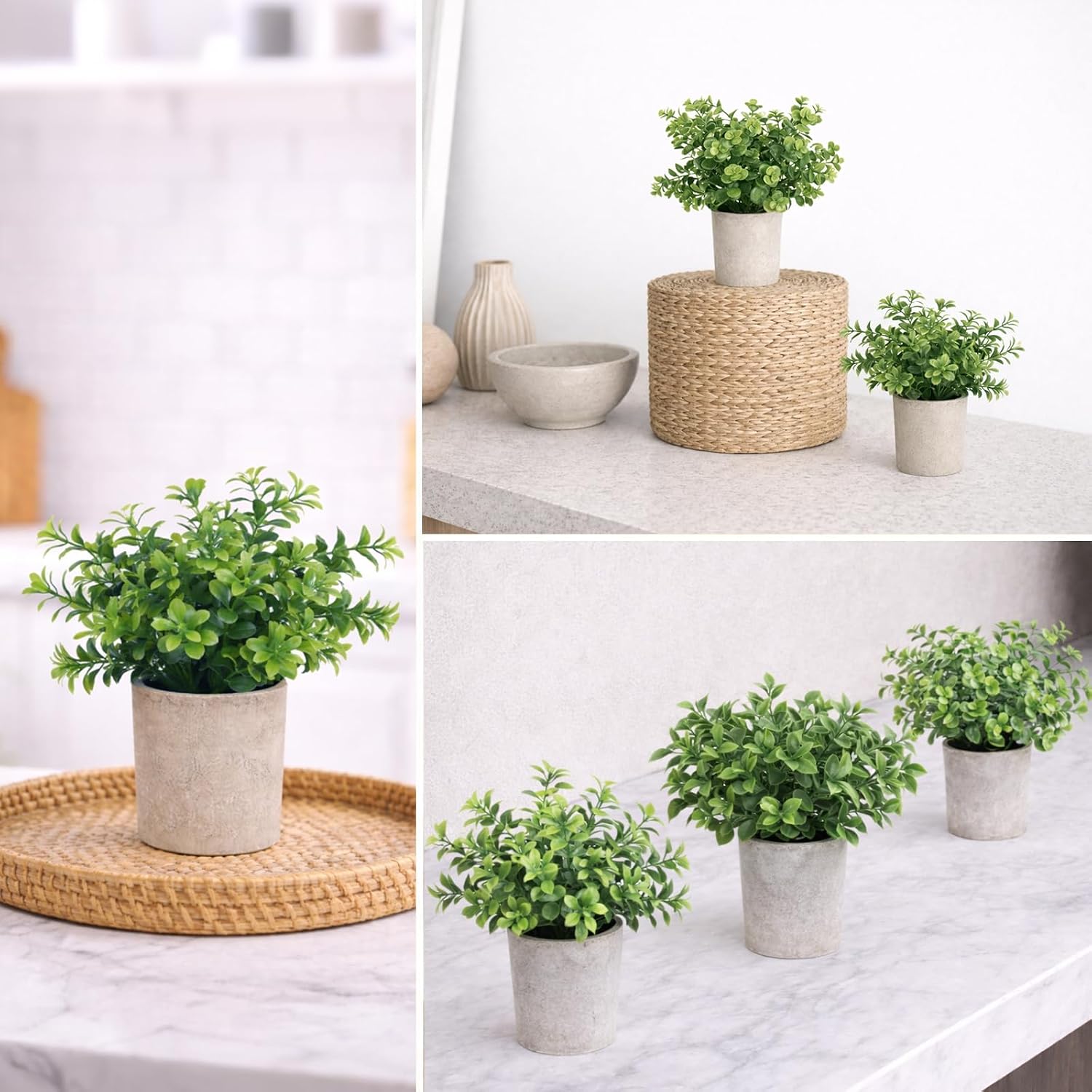 Small Plants Decor- Mini Artificial Plants / Set of 3