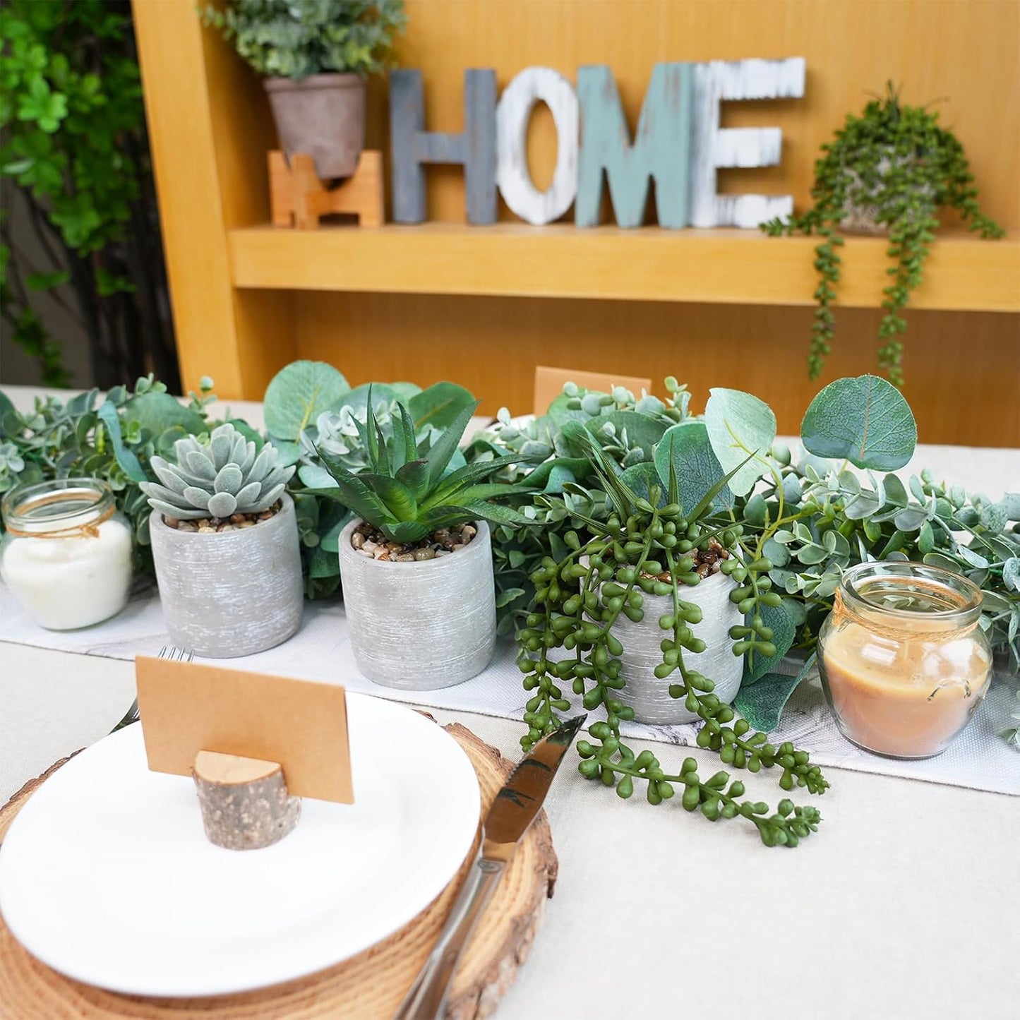 Artificial Potted Succulent Plants Faux Aloe Echeveria String of Pearls Succulents / Gray / Set of 3