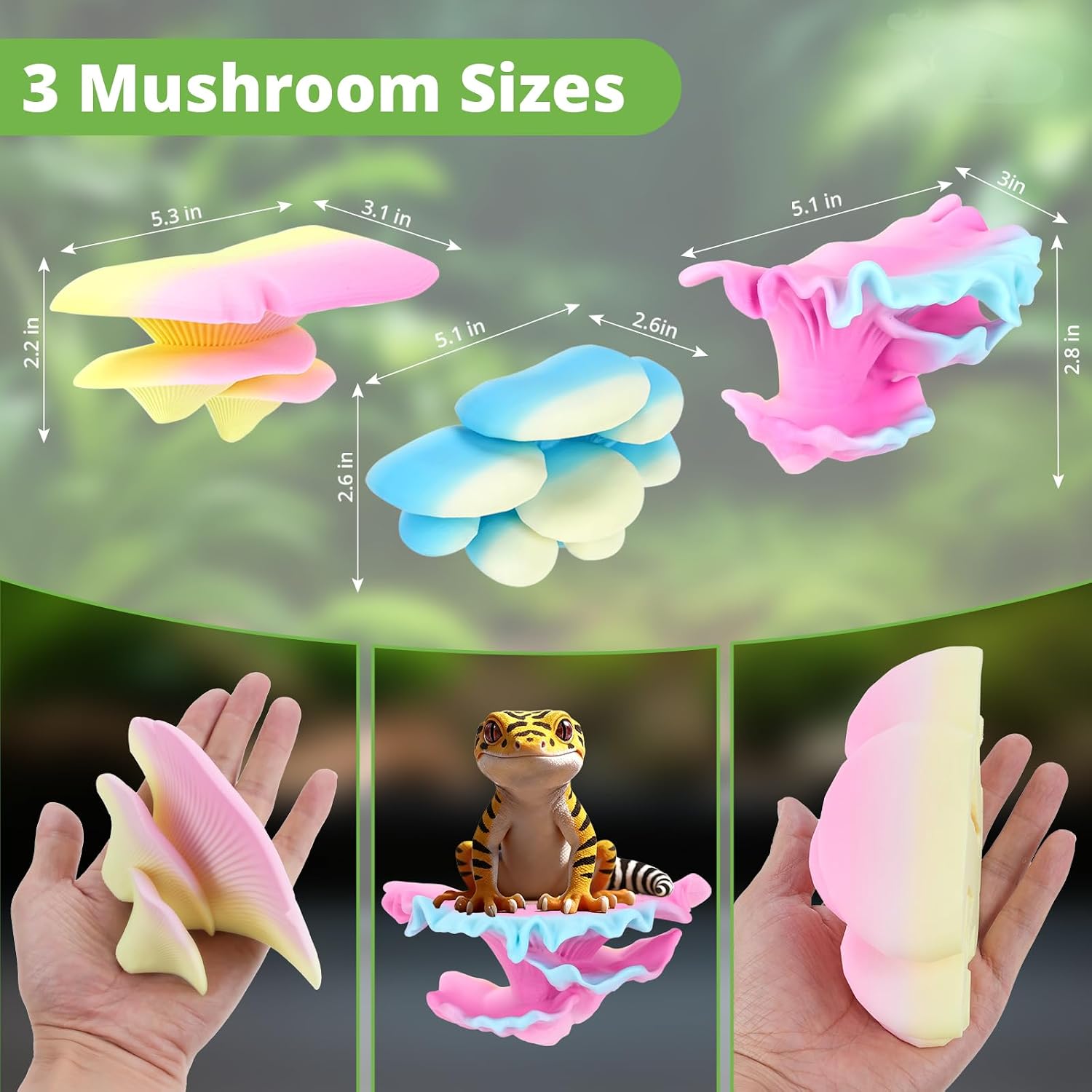 Mushroom Decor for Reptile Tank / Shelf Cap / Aurora