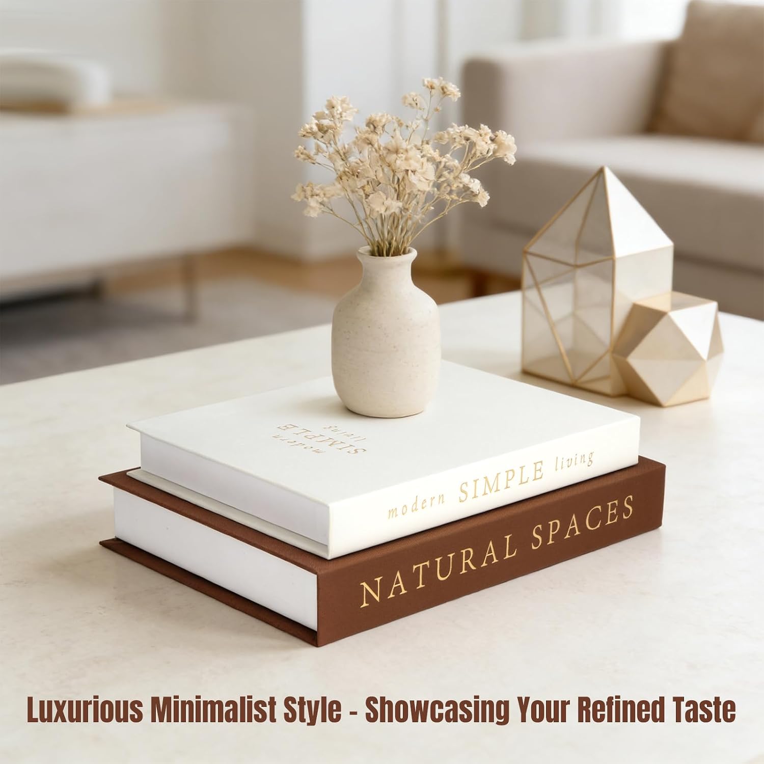 Stylish Boxes / Exquisite Decorative Books / Set of 2