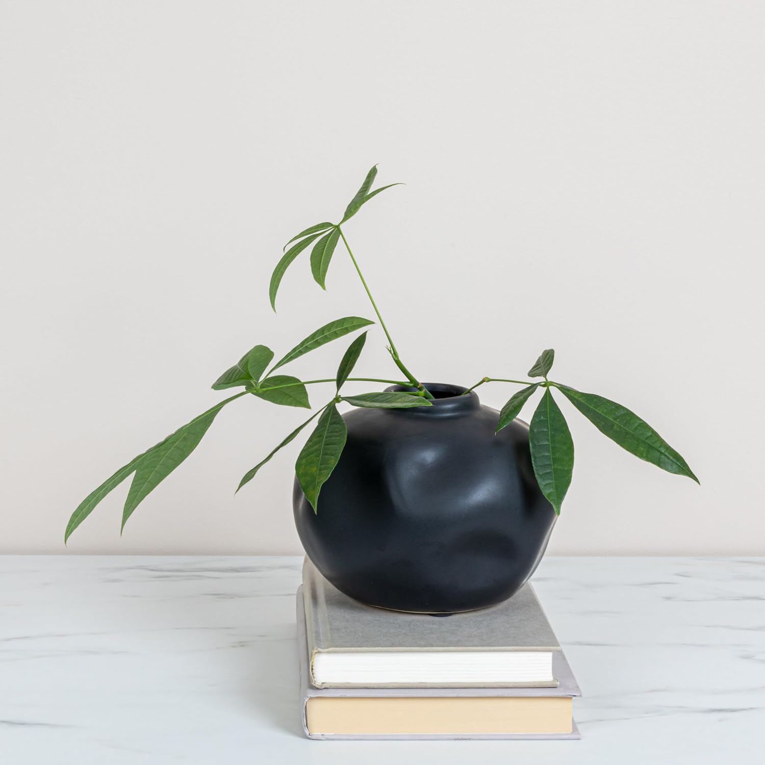 Pinched Organic Shape Terracotta Vase / Black / 6.75 Inches L x 6.25 Inches W x 5.5 Inches H