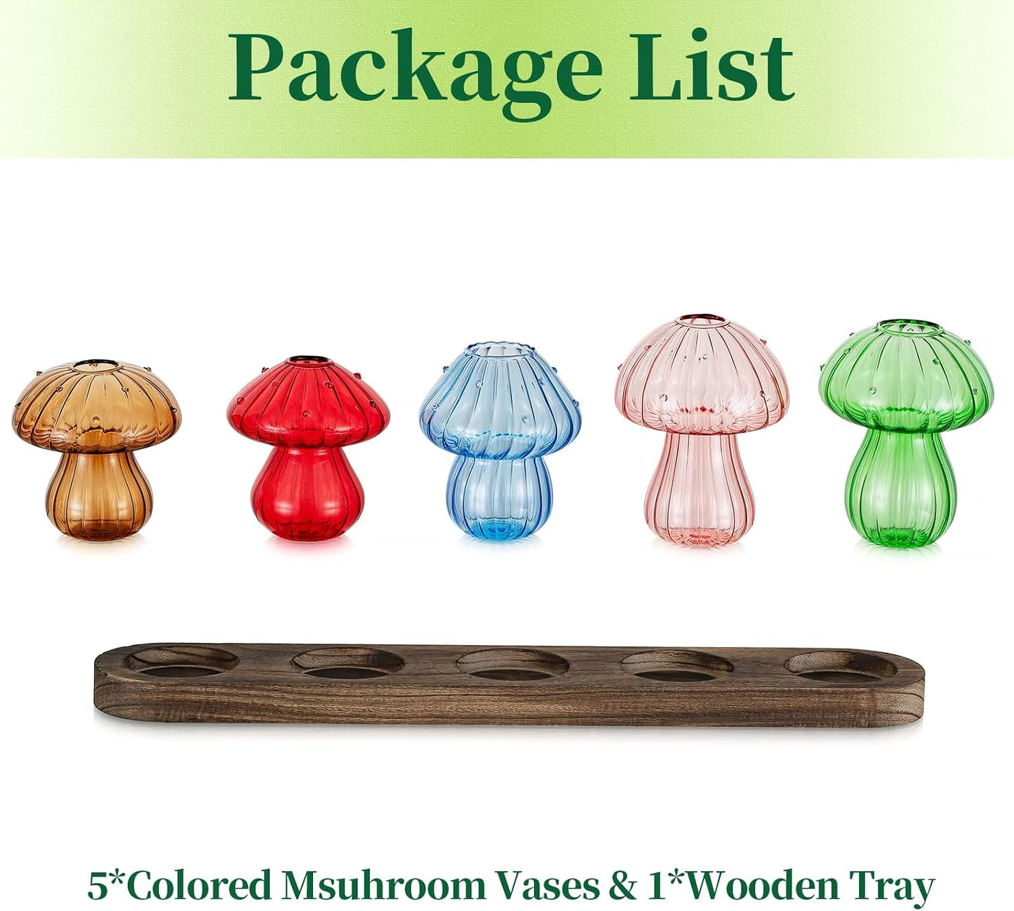 Wooden Stand / Glass Propagation Station for Plant / Colored / Set of 5