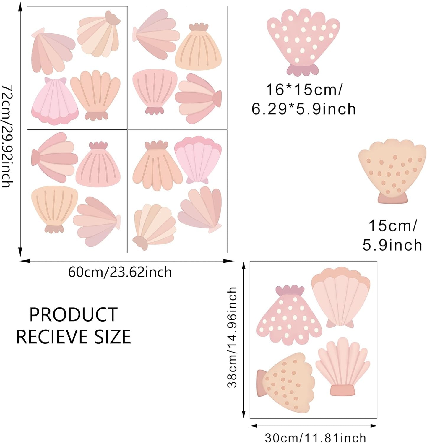 Beach Seashell Wall Stickers for Kids / Seashell Wall Decals