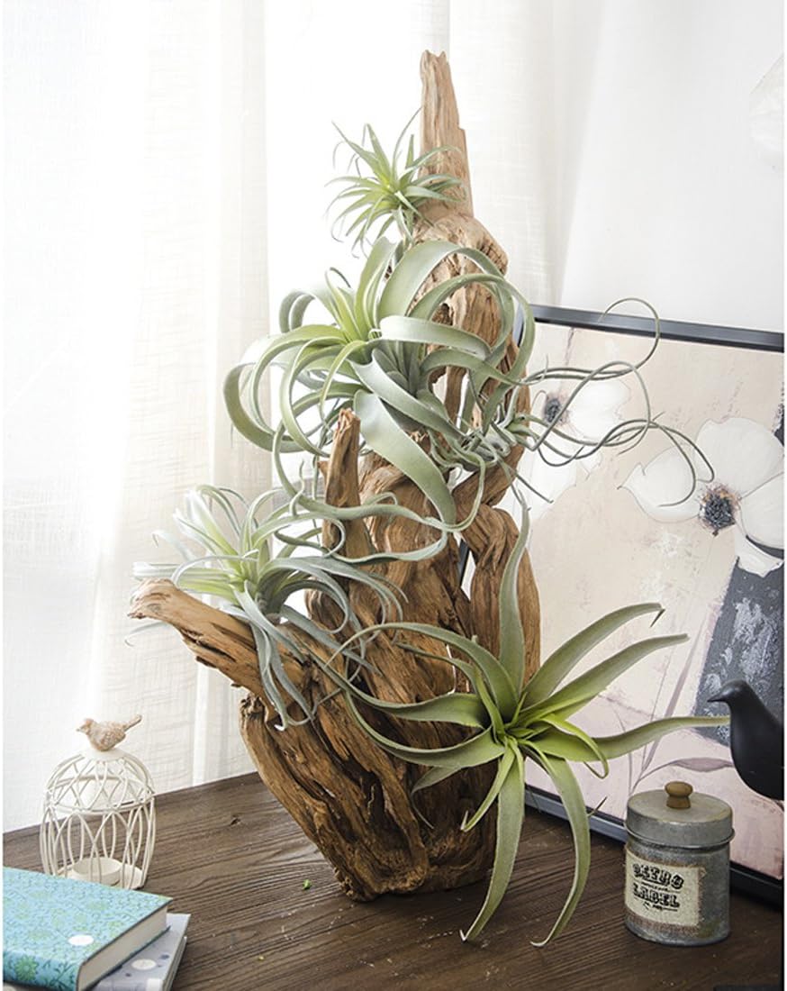 Artificial Flocking Tillandsia Air Plants Faux Succulents Bromeliads / Small / Set of 2