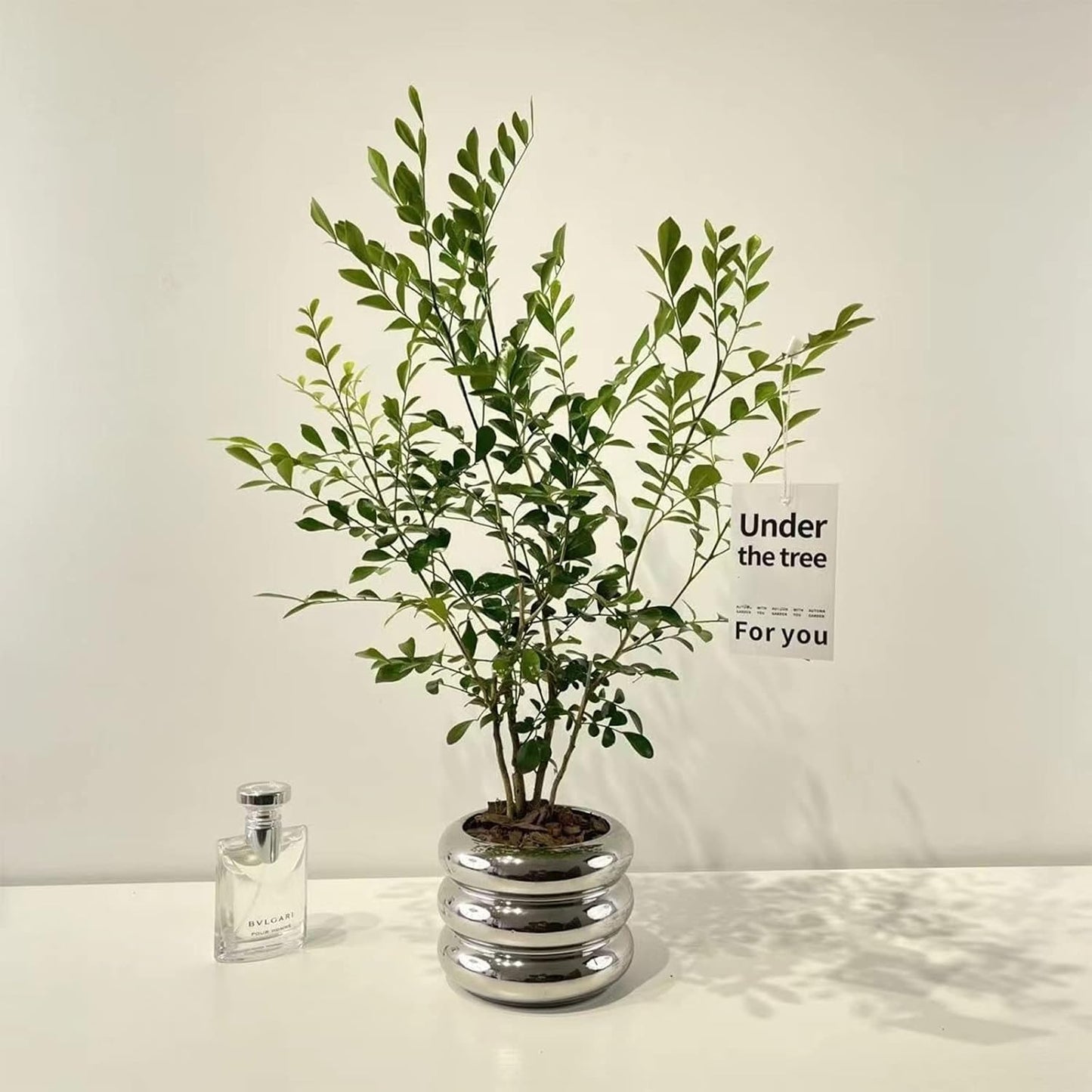 Ceramic Plant Pot Indoor / Silver / 4.7inch / 4.5 Inch