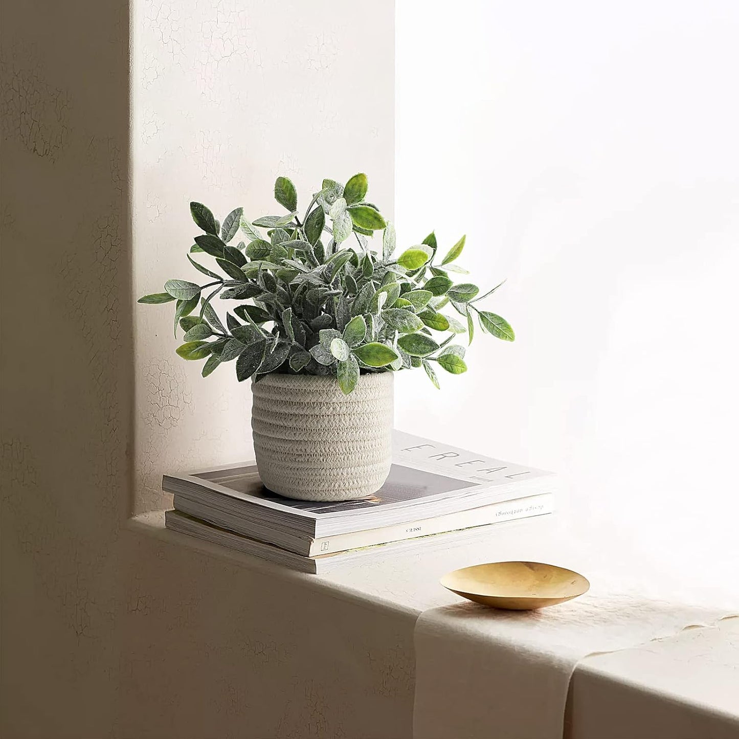 Faux Plants / Decorative Artificial Plants for Farmhouse Desk Shelf Decor / Green Plant Style A