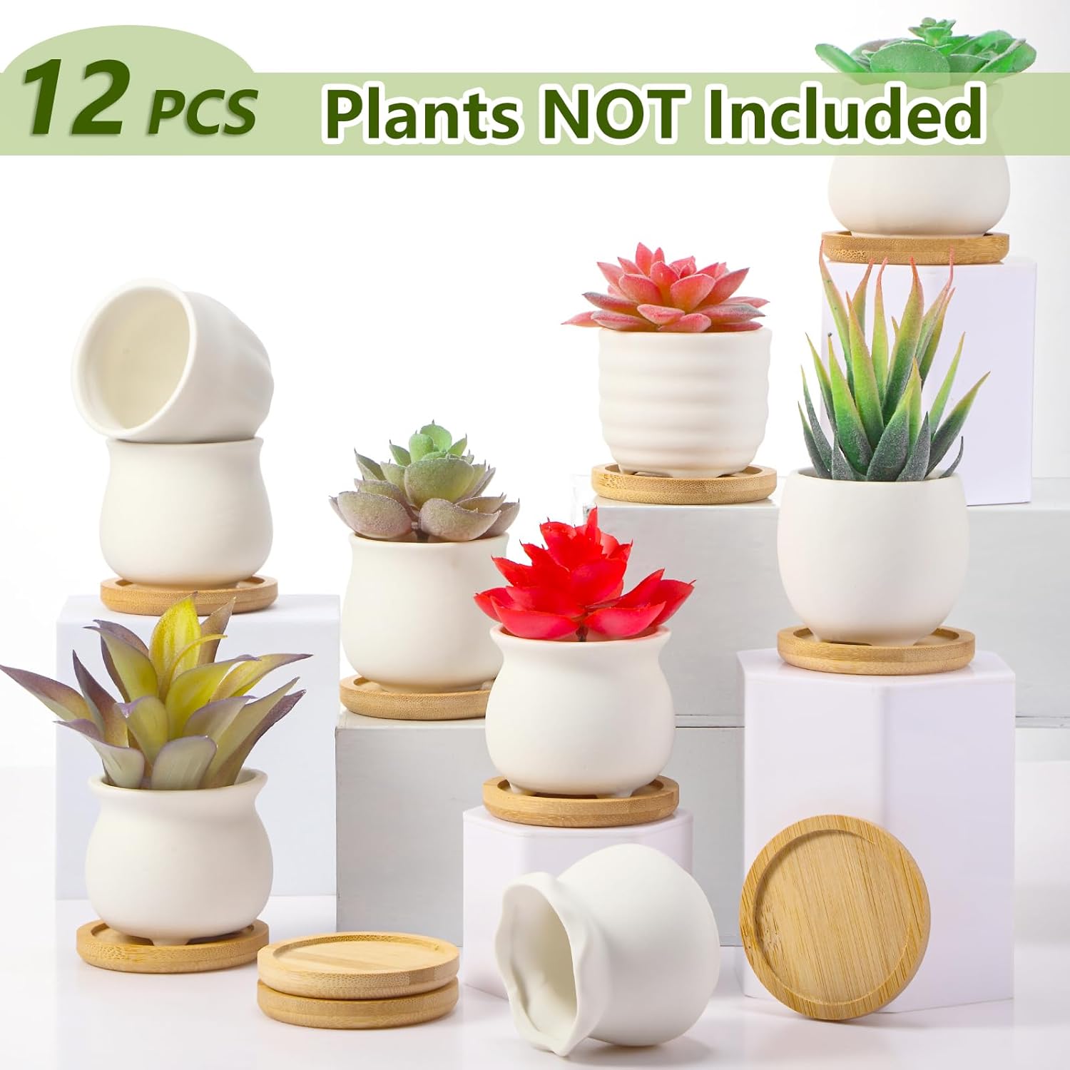 Bamboo Tray Ceramic Pots Color Your Own DIY Small Planters / 2.5 Inch / White / Set of 12