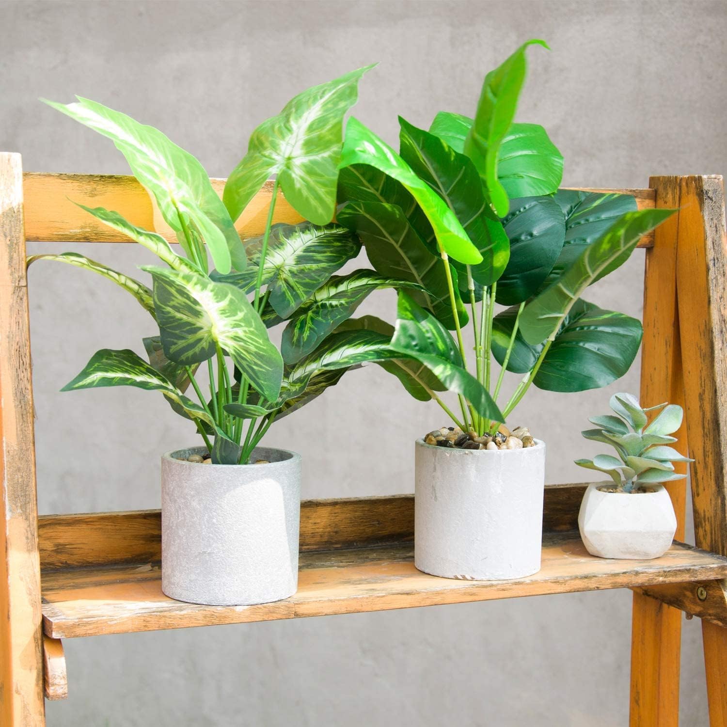 Fake Plants Artificial Tropical Faux Plants / Taro Leaf and Greenery Leaf / Sage Green / Set of 2