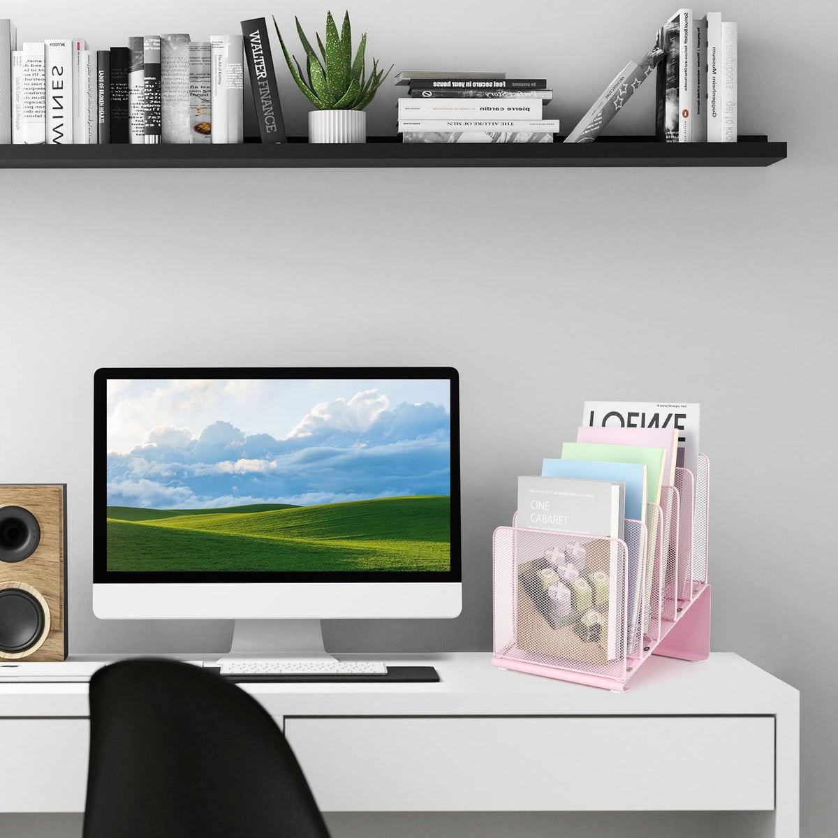 LEKETREE File Organizer for Desk, Desk Organizer with 5-Section Vertical File Rack, Folder Organizer,Workspace