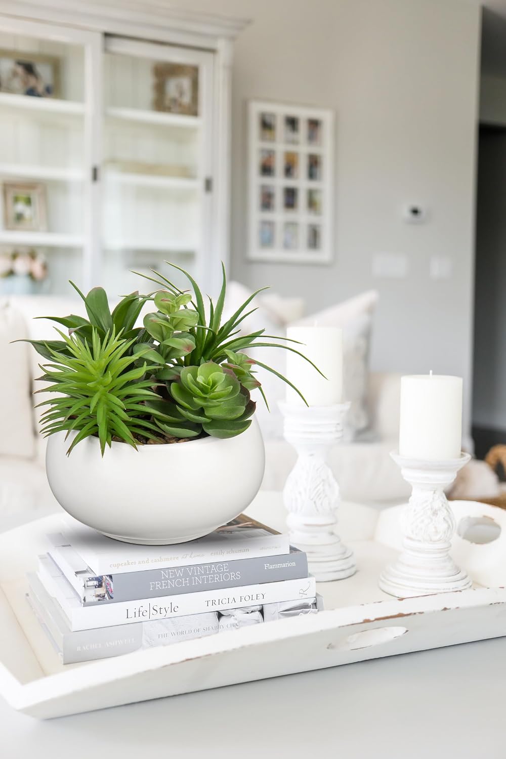 Fake Plants Artificial Succulents in Pots Faux Succulent Arrangement Potted Plant / Premium White