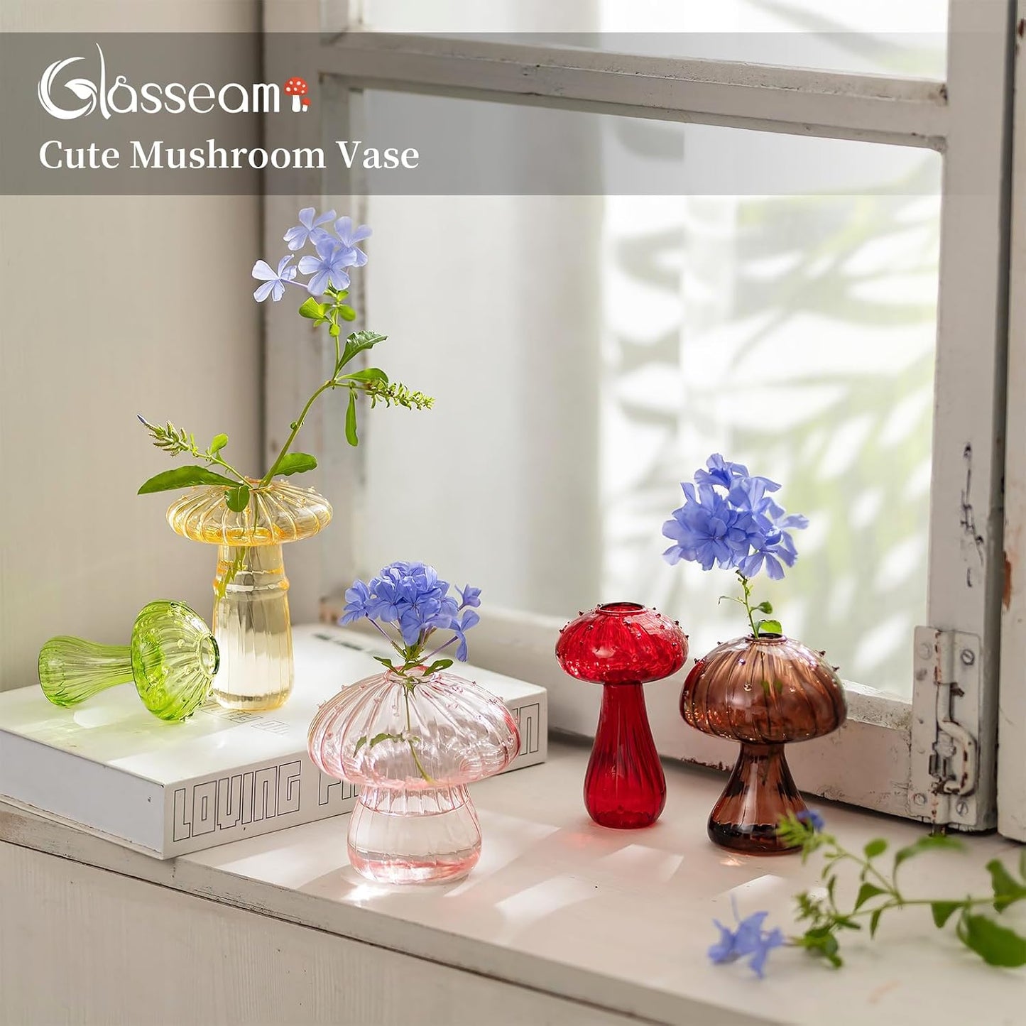 Glass Terrariums for Plants / Colorful / Set of 10