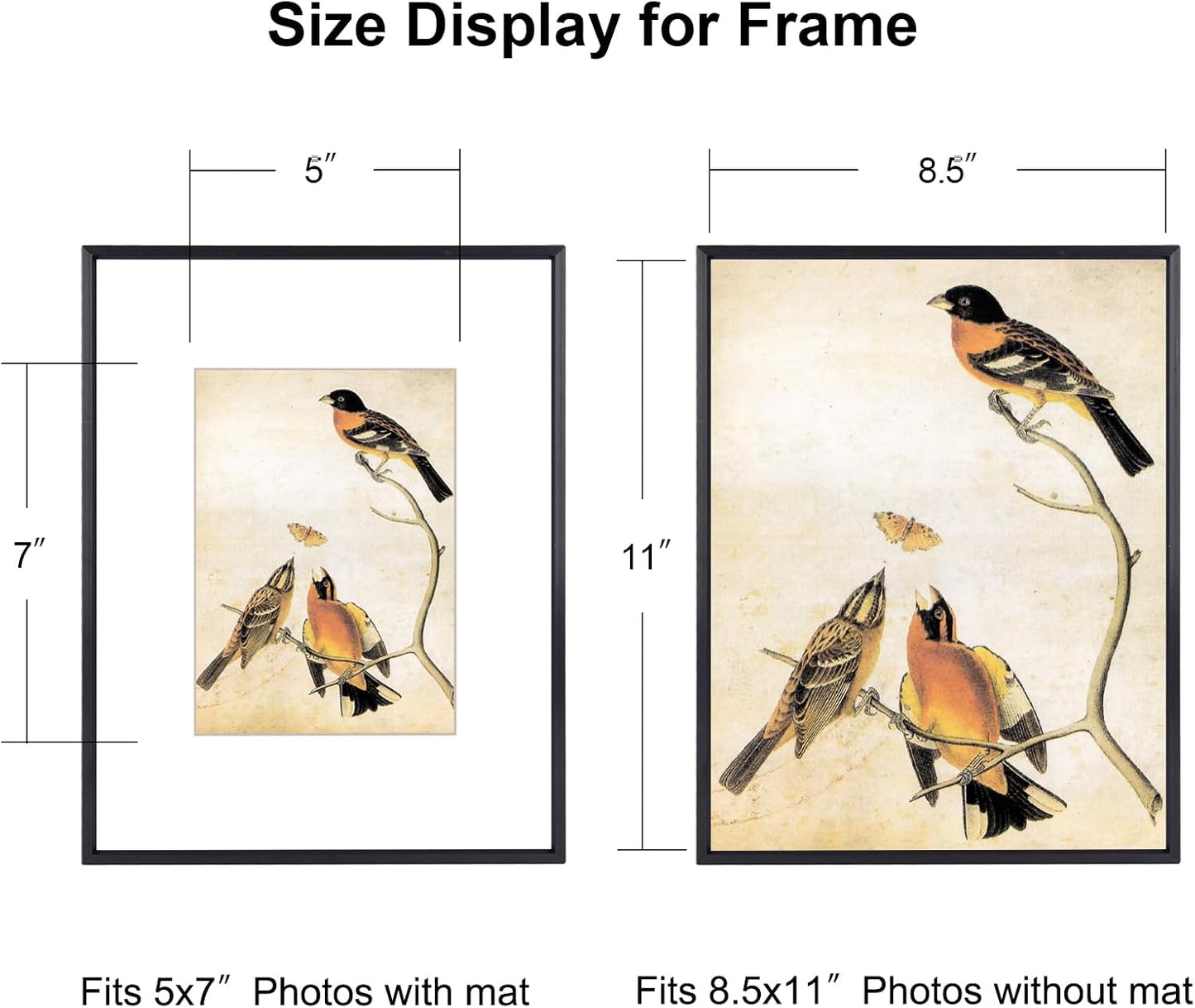 BKABOT 8.5x11 Black Metal Photo frames 3 Pack HD Glass Mat 5x7 Wall Table | Thin brushed aluminum Picture