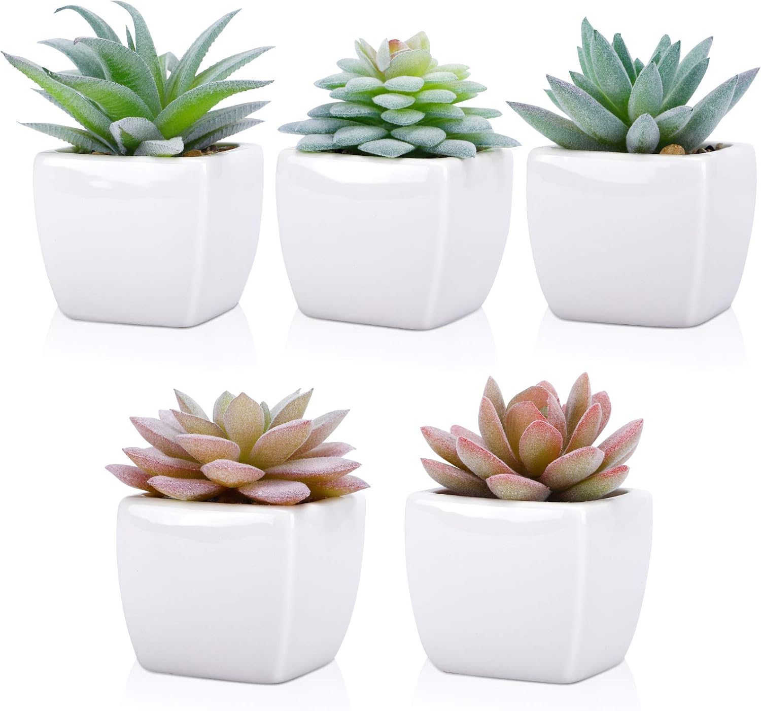 Artificial Succulent Plants / Set of 5