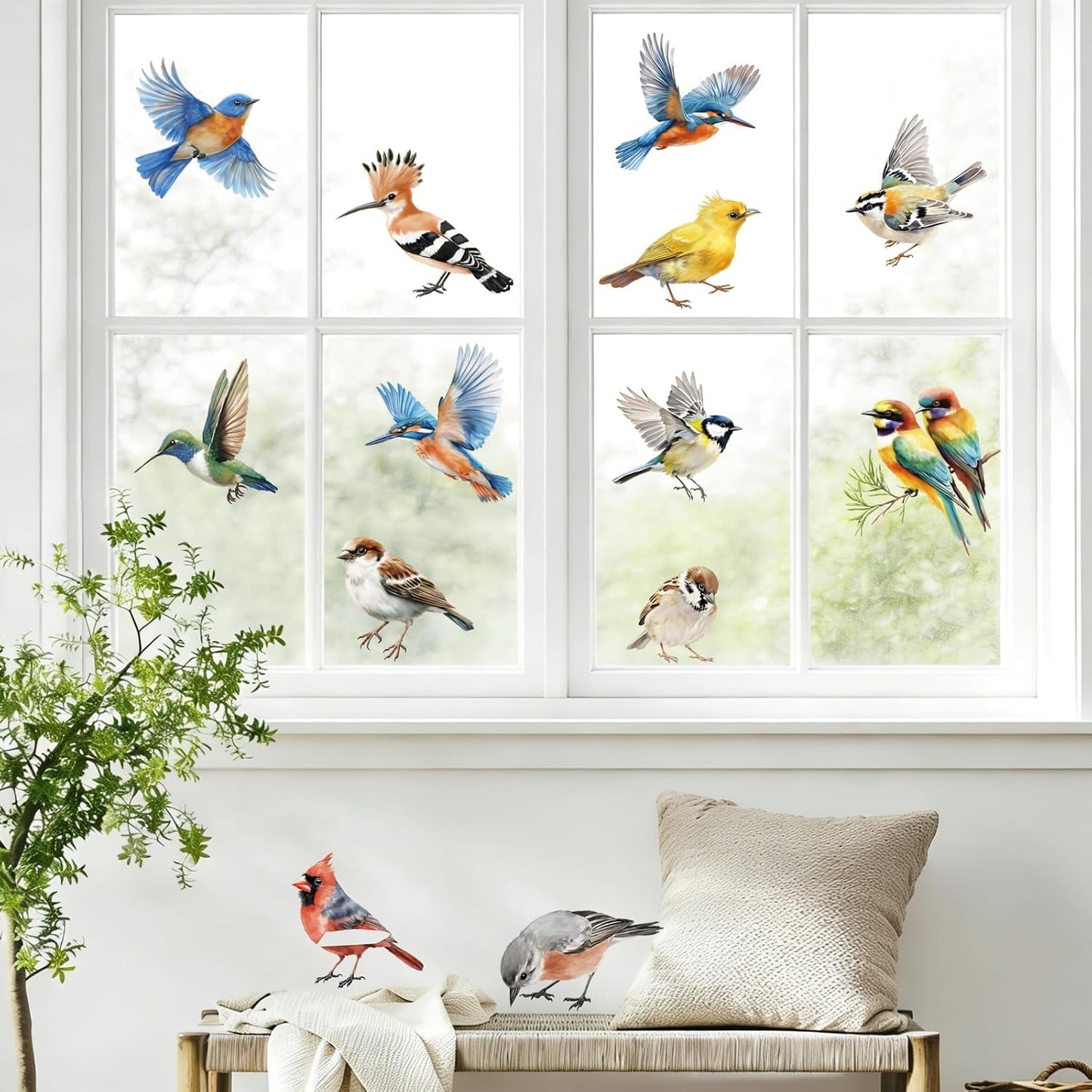 Vinyl Colorful Wall Sticker