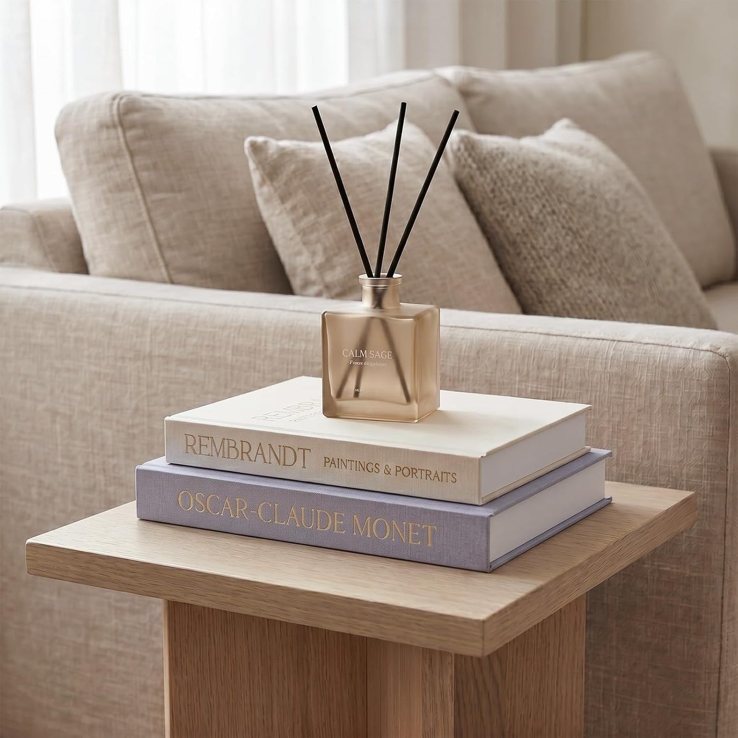 Decorative Book Set Decorative Box / Gray-beige / Set of 2