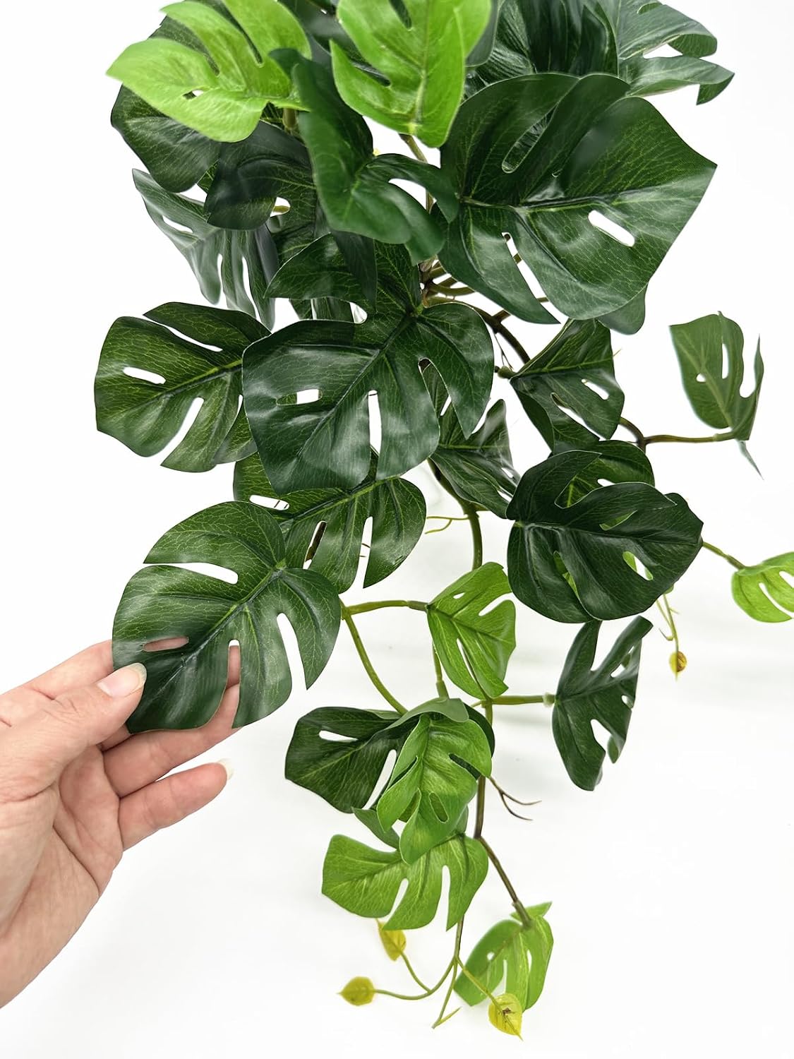 Fake Plants Hanging Small Faux Potted Ivy Vine Artificial Monstera Mini / Monstera Plant - Green