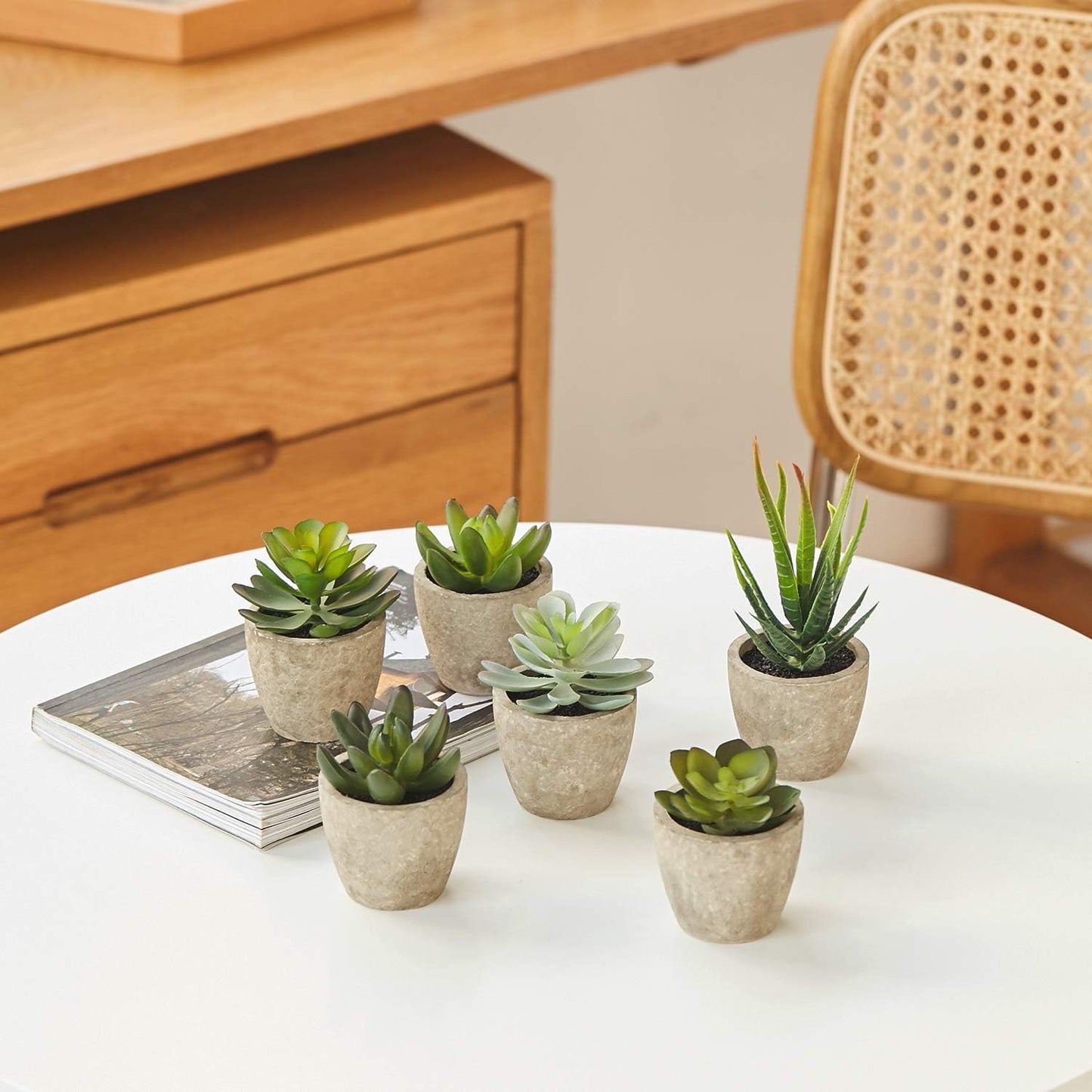 Artificial Succulents Plants Potted Set-Decorative Fake Succulent Plant Faux Plastic Plant / A6sets