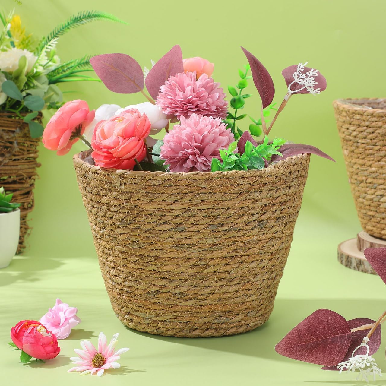 Woven Plant Baskets / Set of 2