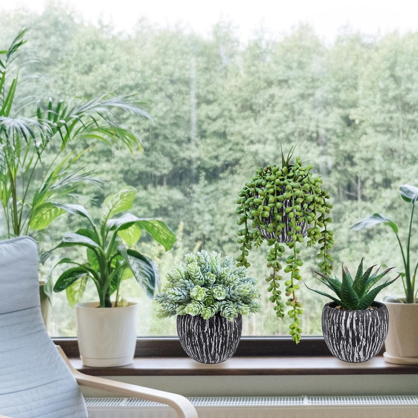 Artificial Succulent Plants in Pots Fake Hops Aloe String of Pearls Potted Plants / Black / Set of 3