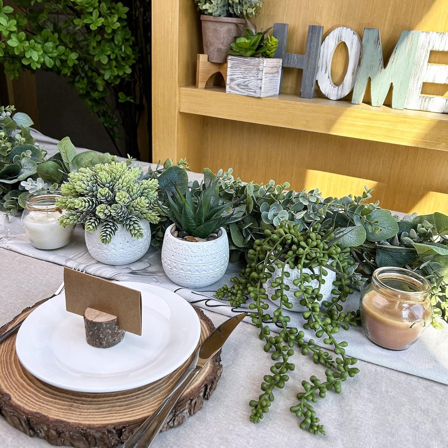 Assorted Small Potted Succulent Plants Artificial Aloe Hanging Succulent / White / Set of 3