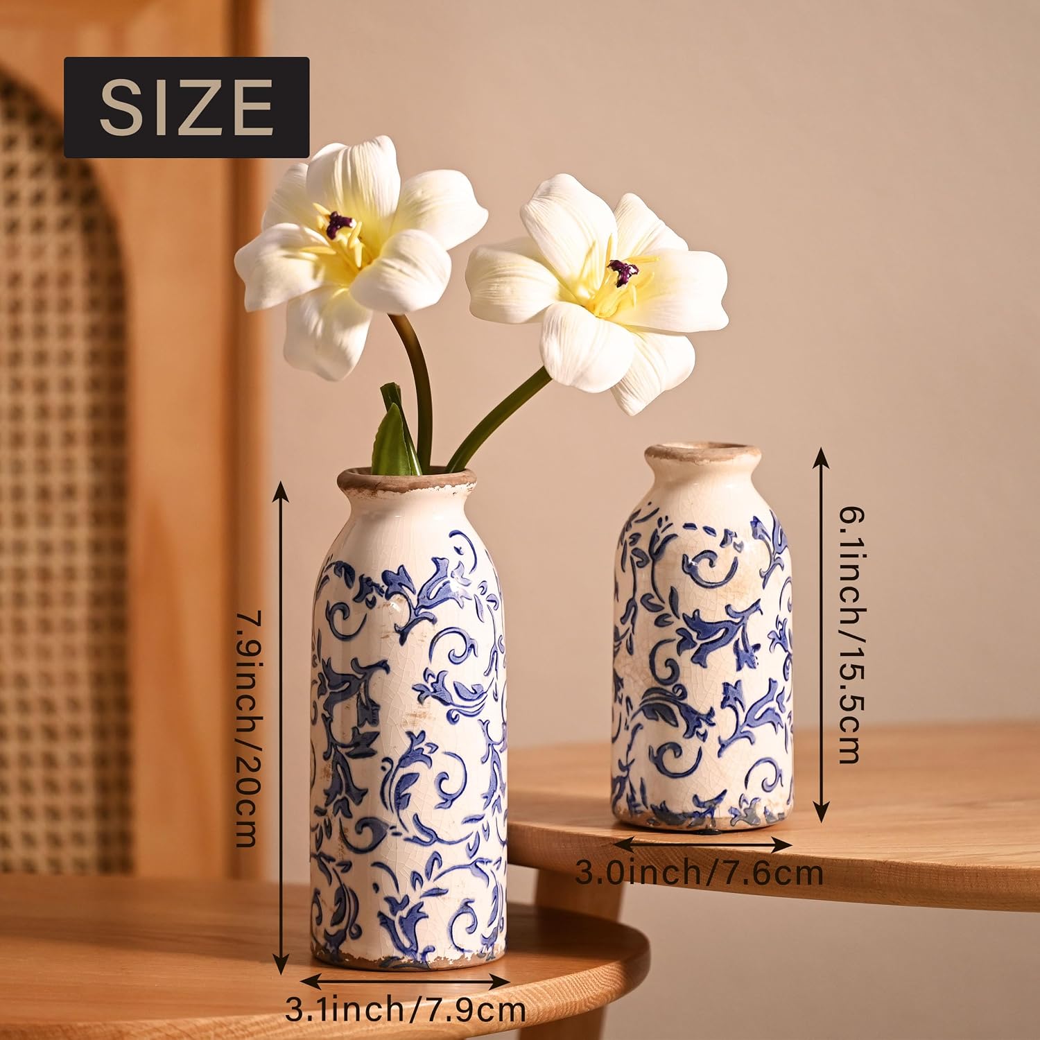 Ceramic Vases Home Decor / Blue and White / Set of 2