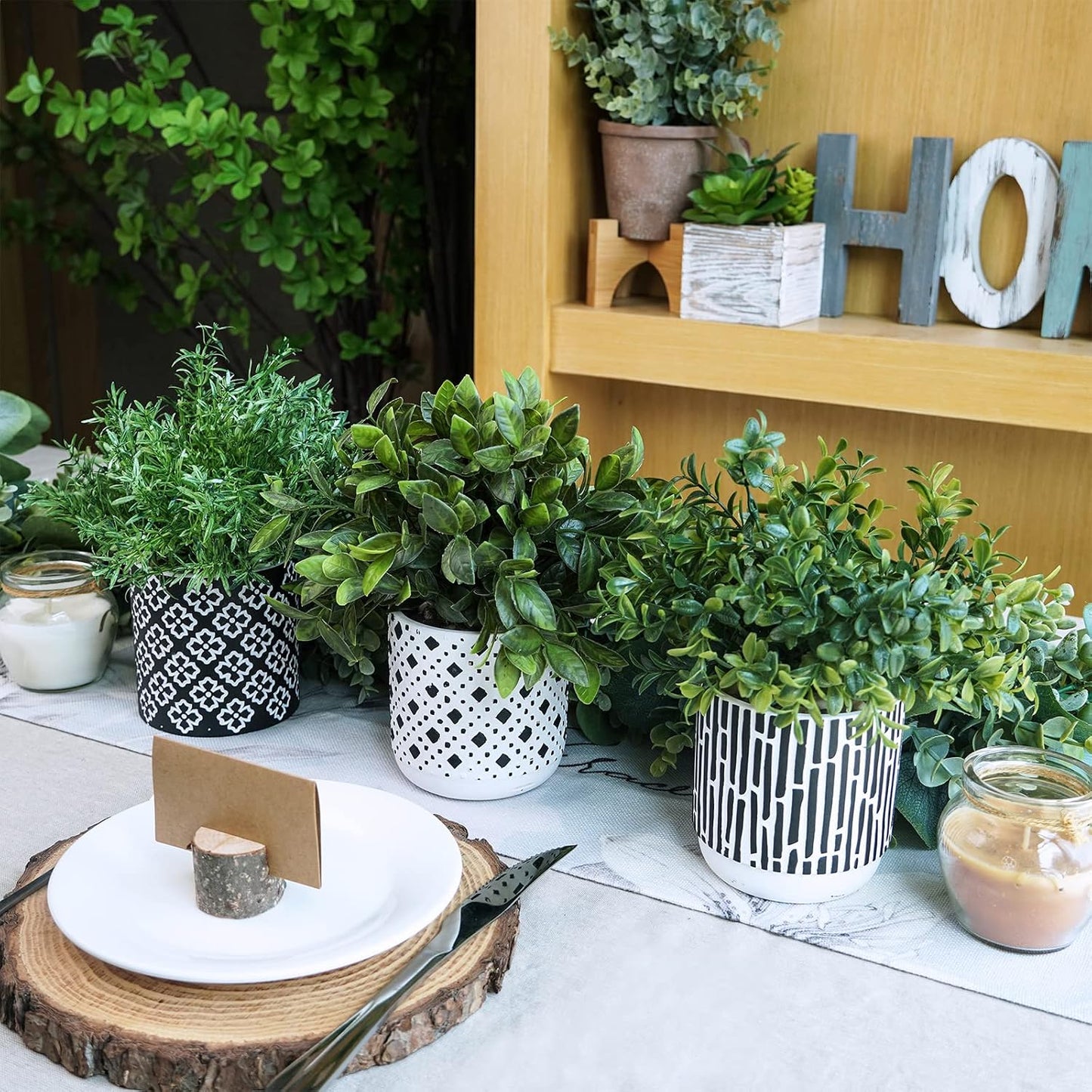 Artificial Potted Plants / Black / Set of 3