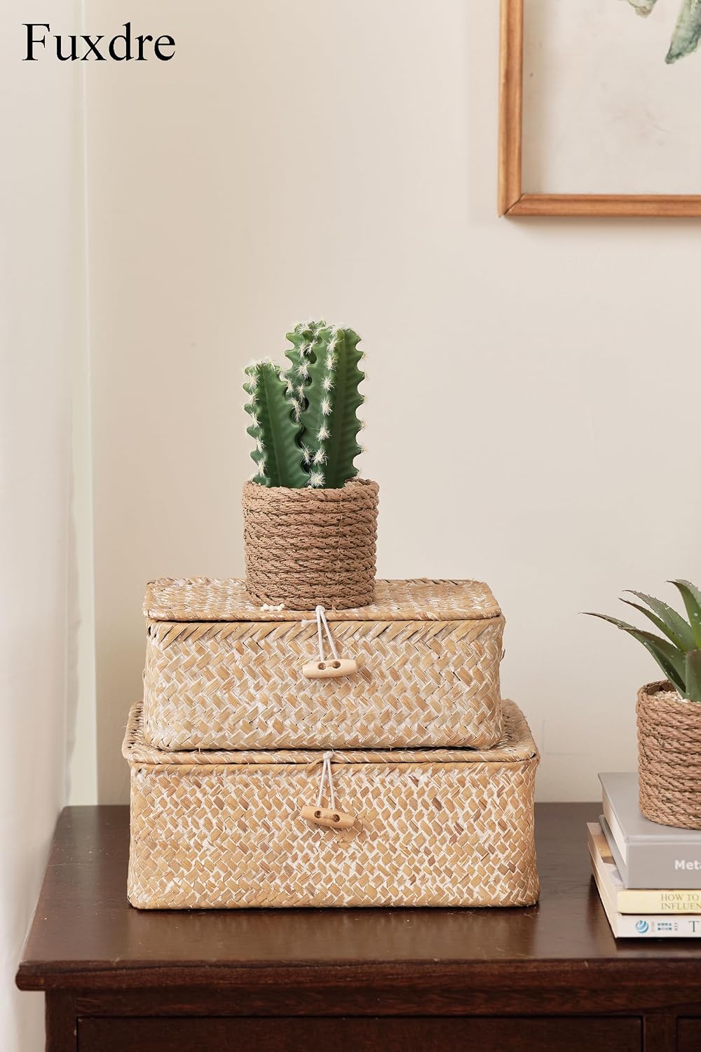 Artificial Succulent Plants in Vintage Plastic Pots / Succulent-d / Set of 3