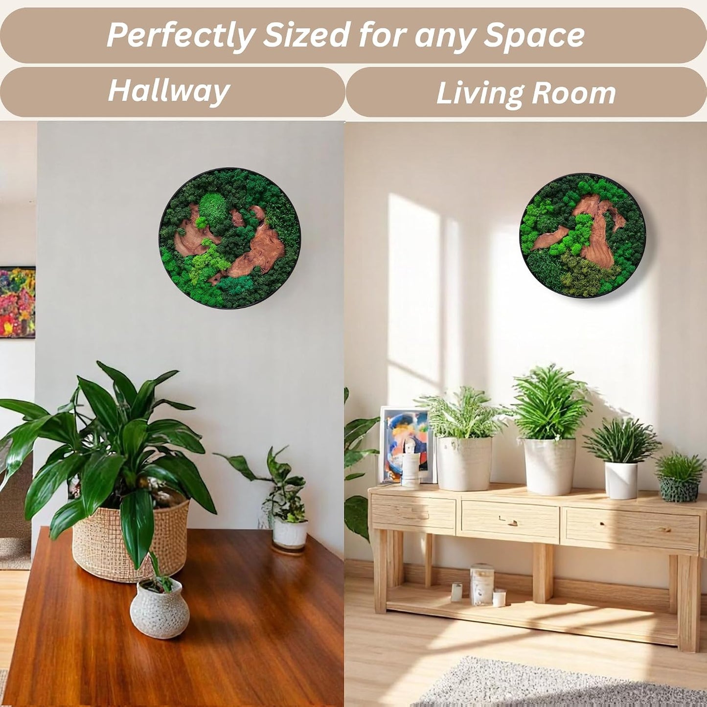 Unique No-Maintenance Decor / Round/green / 12"L x 12"W / Scattered