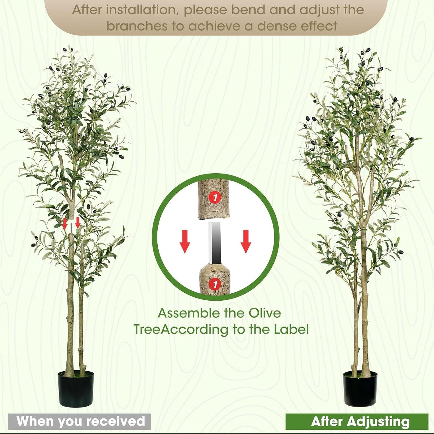 Olive Branches / Olive Tree / 5ft / Black / 5 Inch