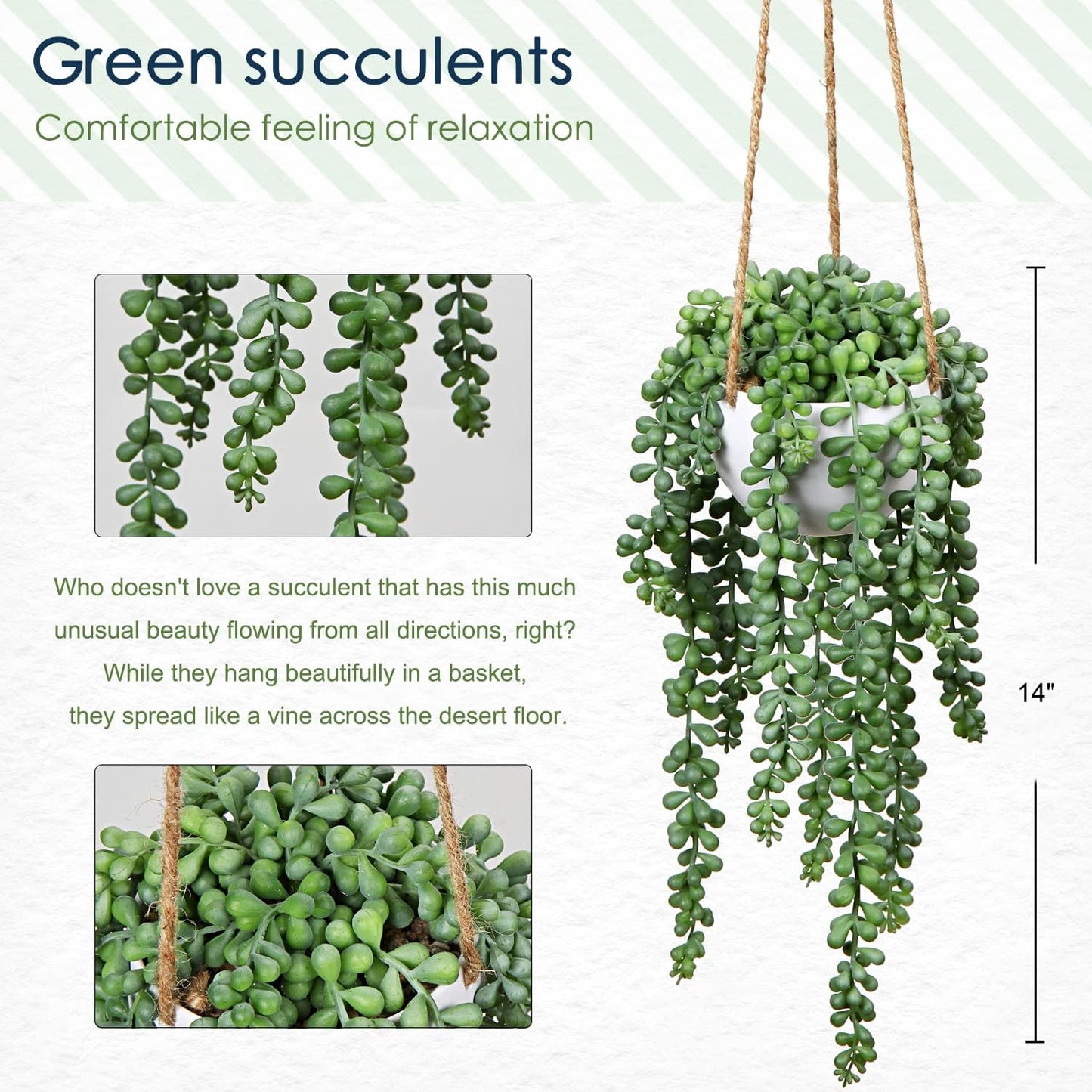plants Fake Hanging / String of Pearl