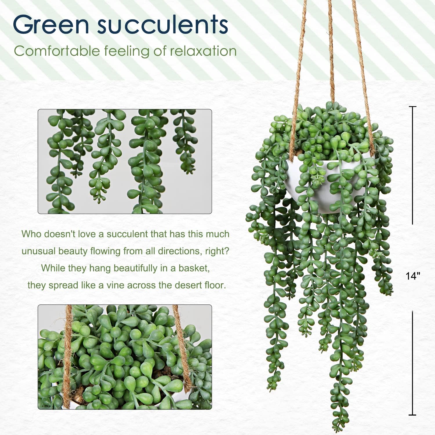 plants Fake Hanging / String of Pearl