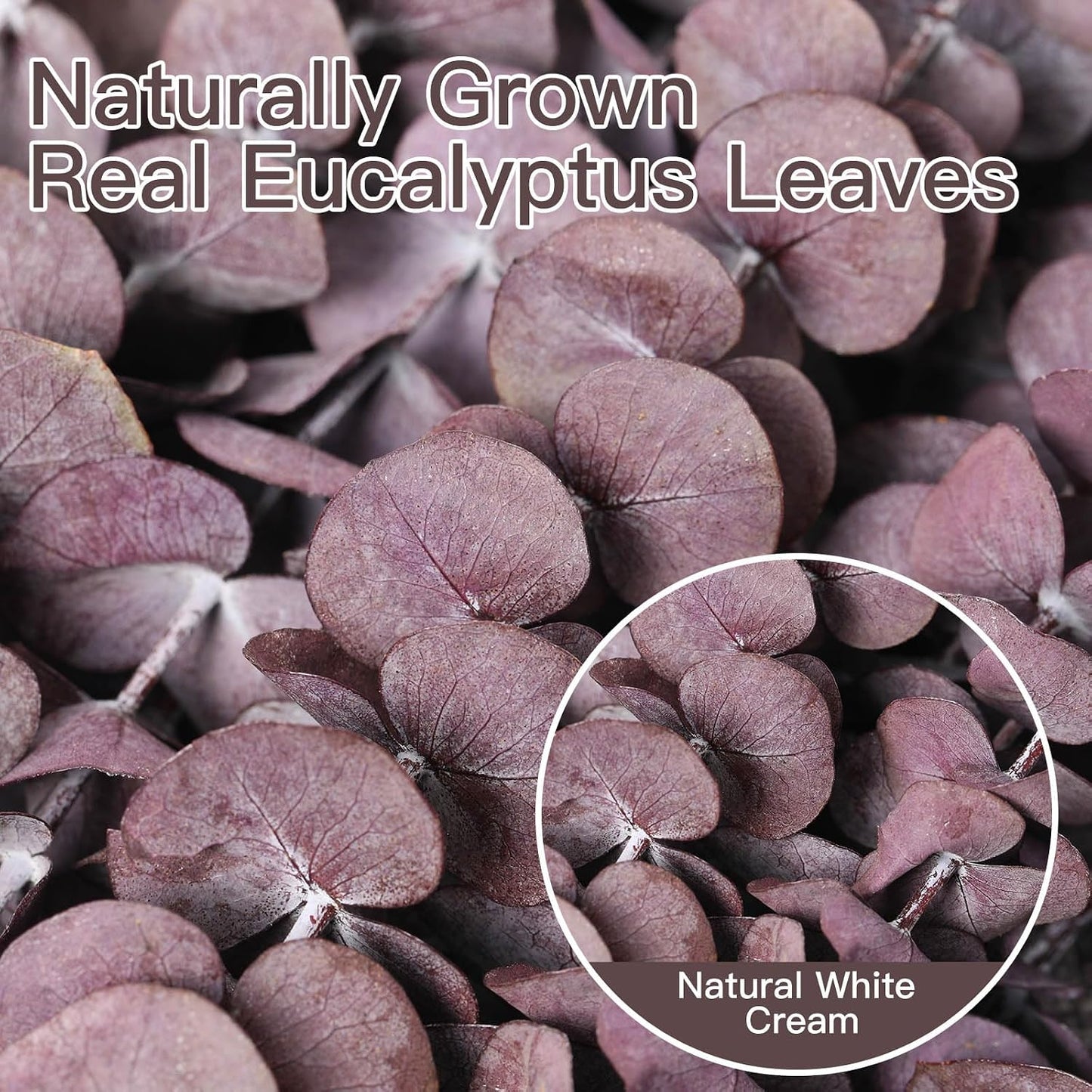 17'' Natural Real Live Eucalyptus Leaves Branches Hanging Shower / Purple / Set of 20