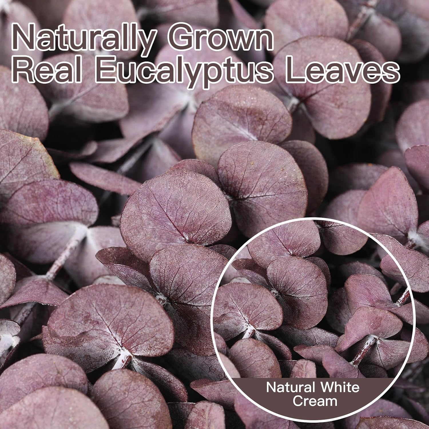 17'' Natural Real Live Eucalyptus Leaves Branches Hanging Shower / Purple / Set of 20