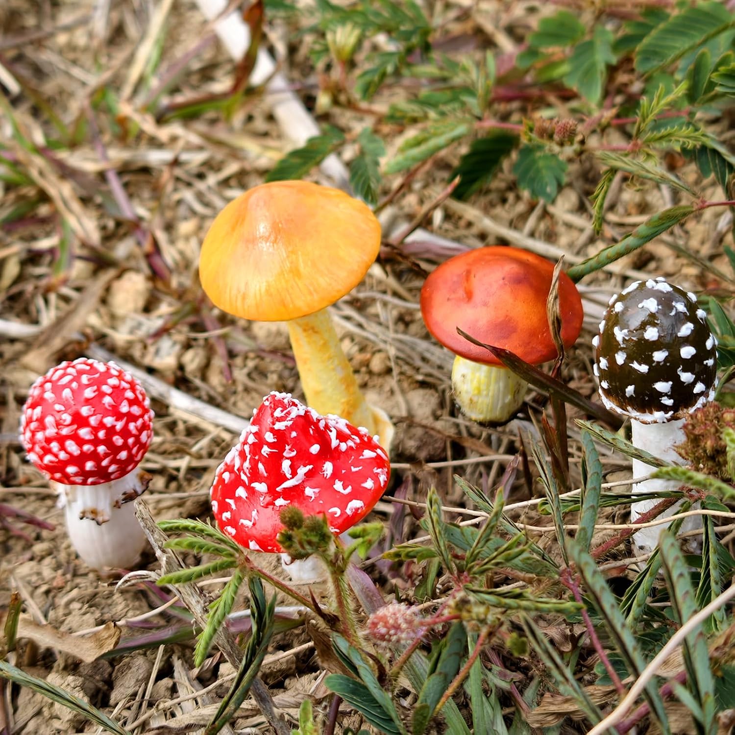 DIY Mini Mushrooms for Terrariums Potted Plant Holiday / Set of 5