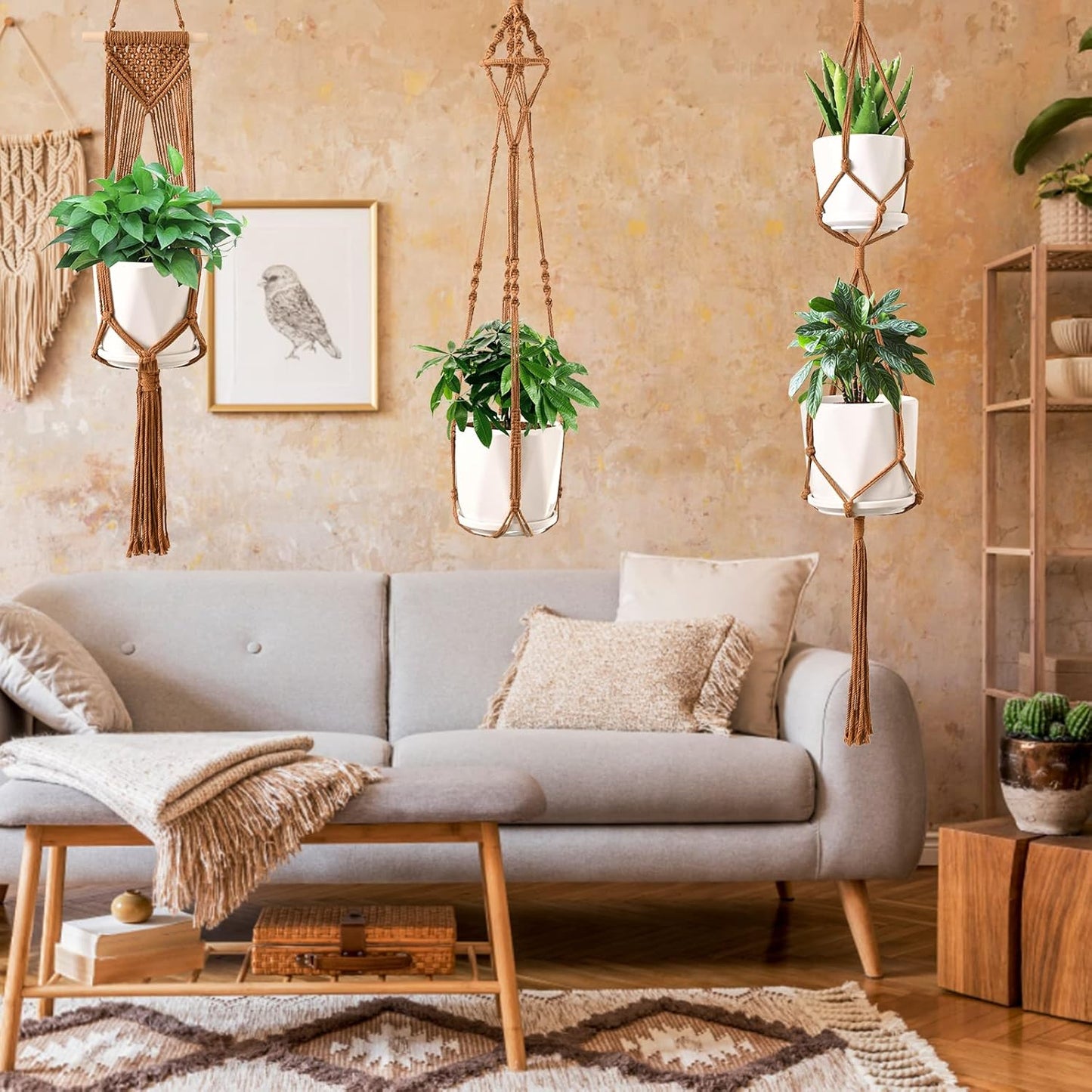 Macrame Plant Hangers / Caramel / Set of 6