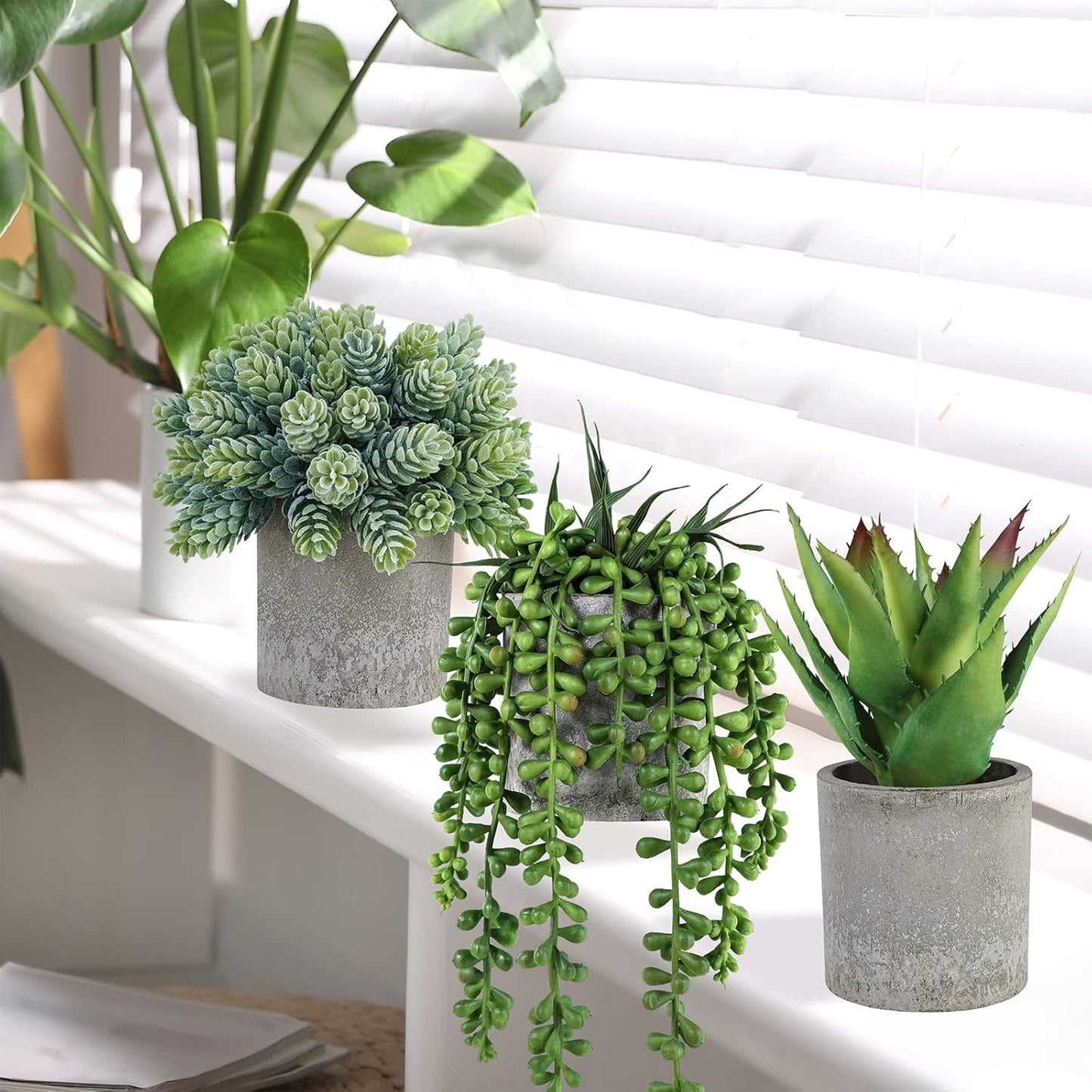 Mini Potted Succulents Artificial String of Pearls Aloe Hops Succulent Plants / Gray / Set of 3