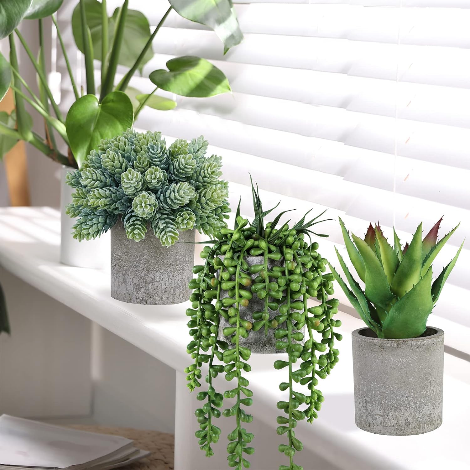 Mini Potted Succulents Artificial String of Pearls Aloe Hops Succulent Plants / Gray / Set of 3