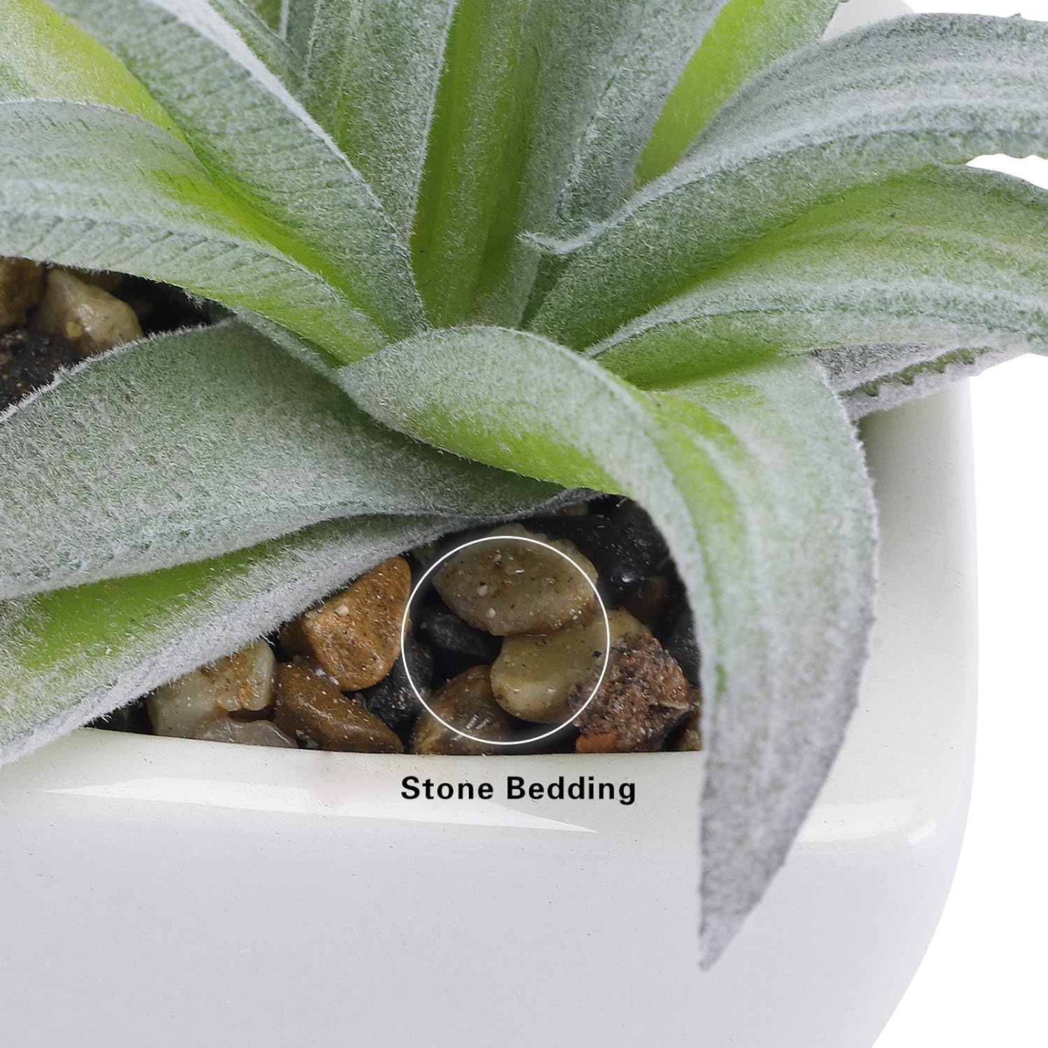 Artificial Succulent Plants / Set of 5