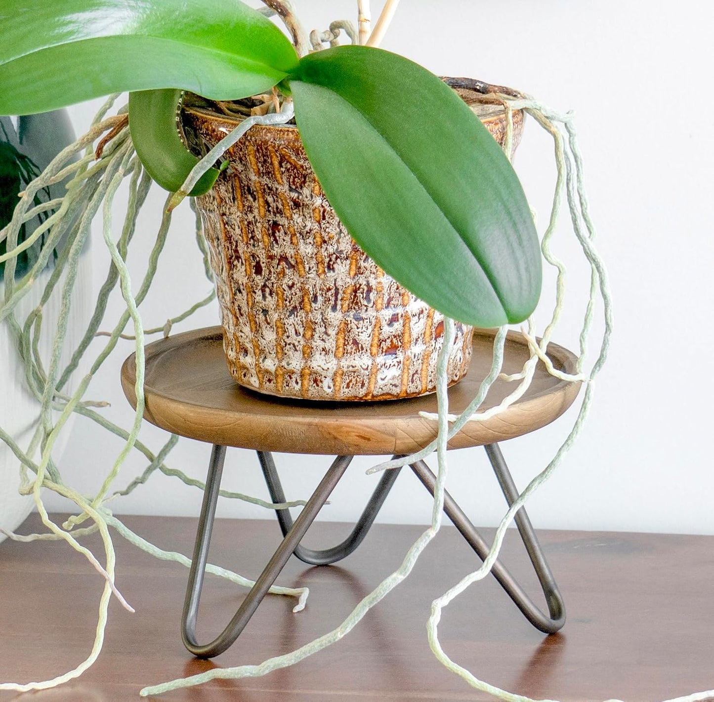 8.75" Dia Round Decorative Wooden Pedestal Plant Stand / Natural