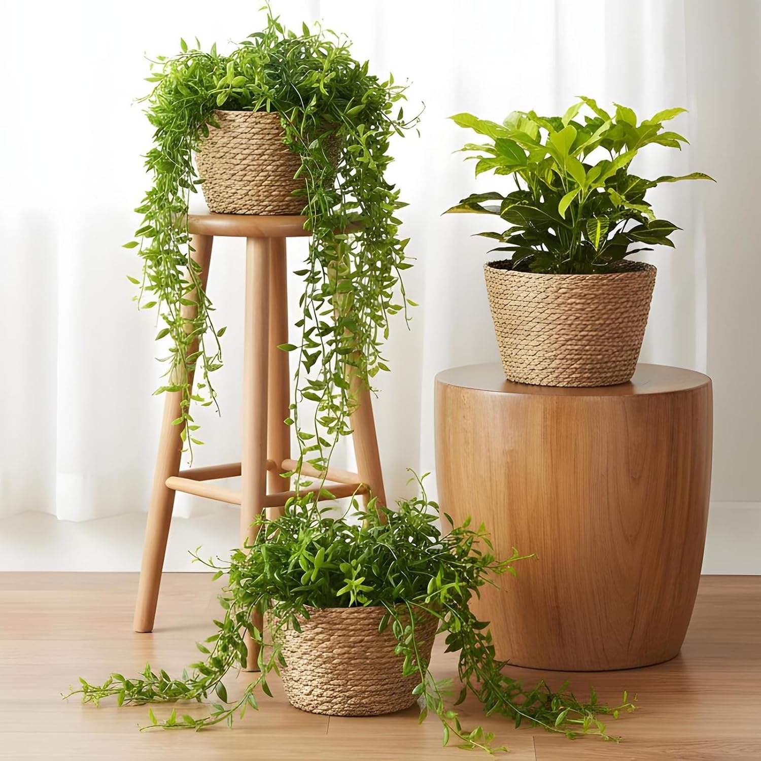 Seagrass Planter Basket / Set of 3