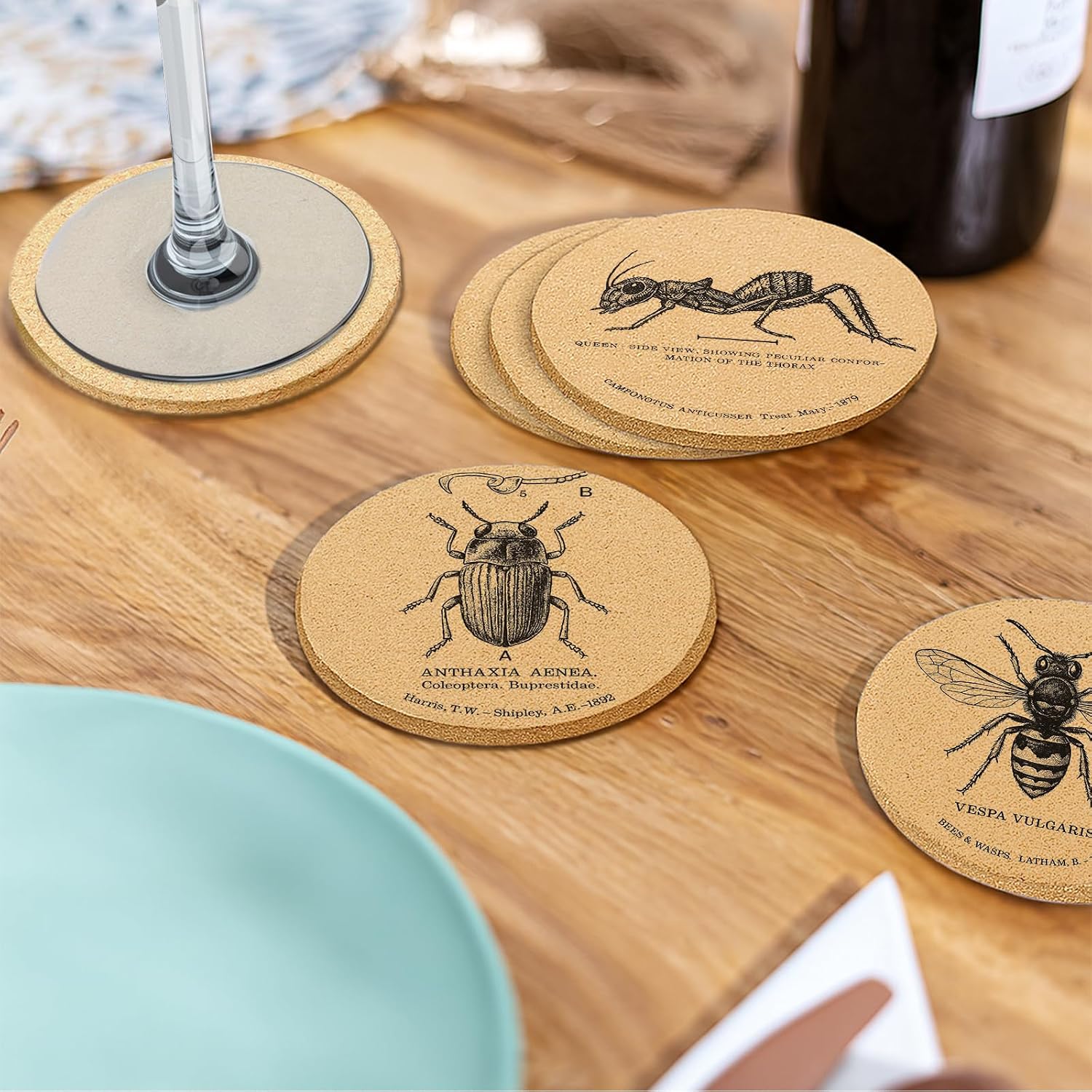 Holder / Coasters for Drinks / Insects / Set of 6