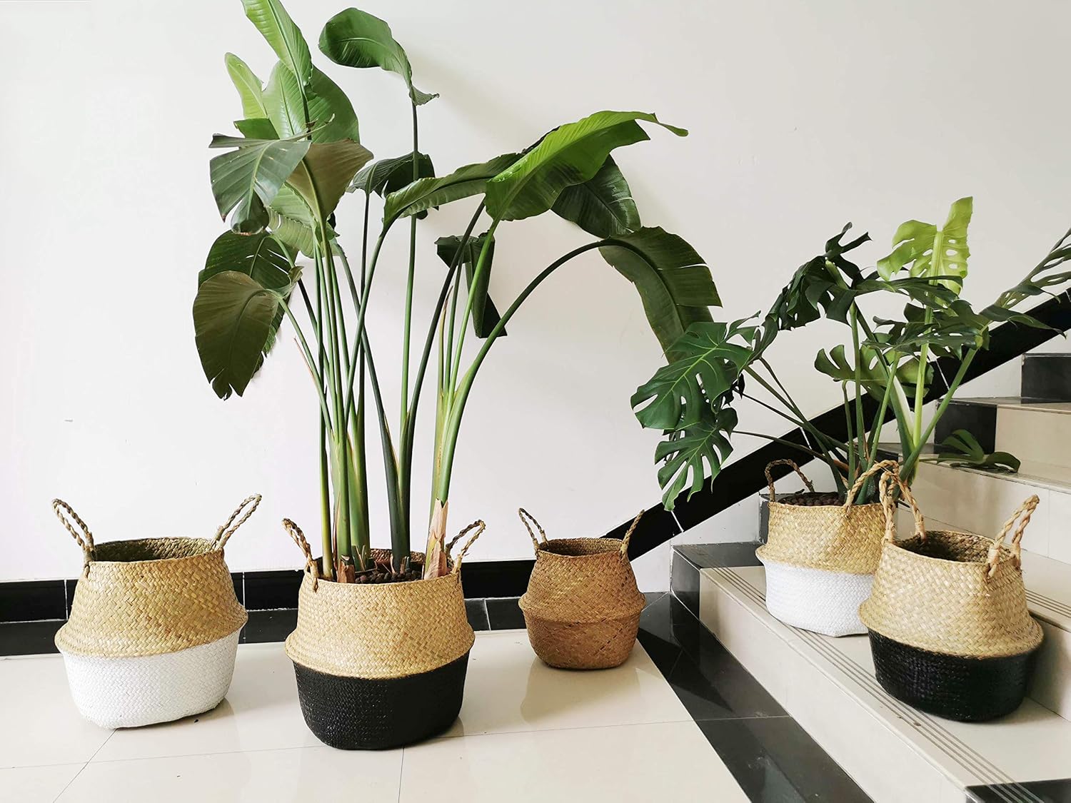 Seagrass Plant Basket / S / White