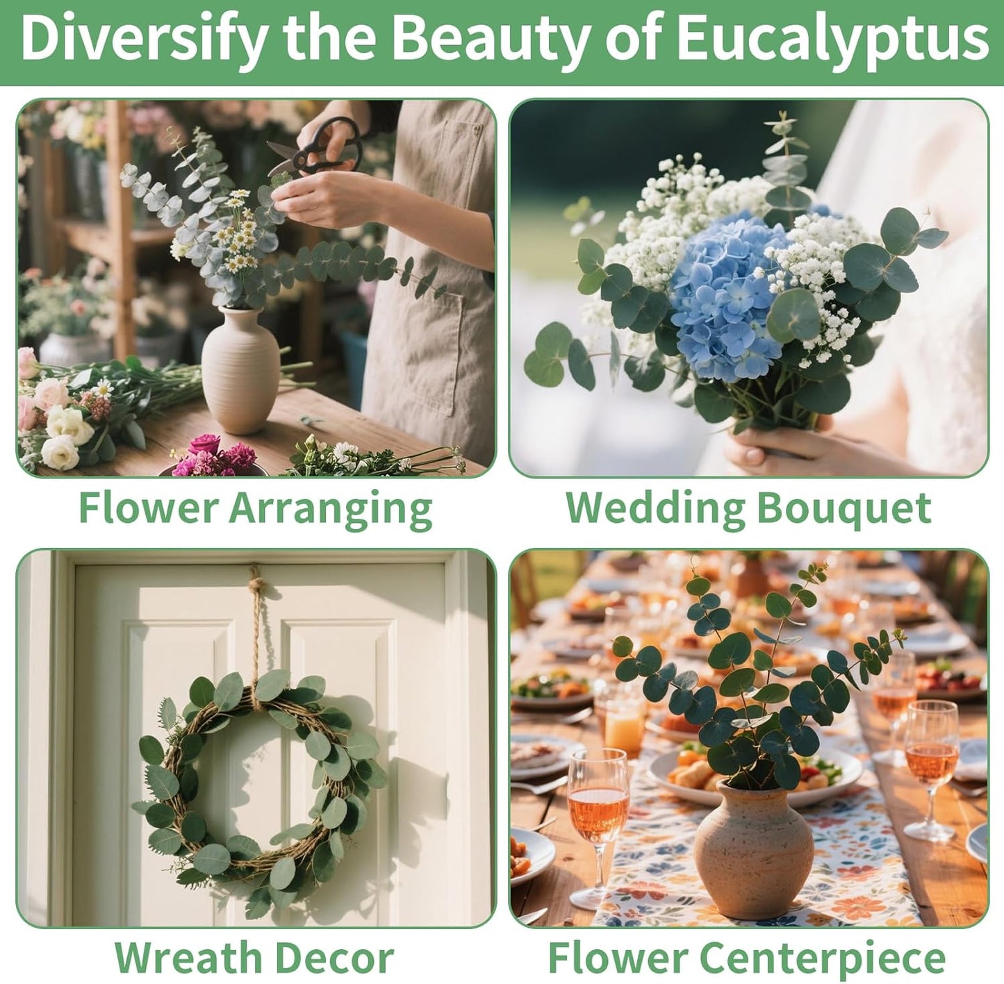 17'' Real Eucalyptus Stems 100% Fresh Leaves Hanging / Dried Eucalyptus Bundle / Natural / Set of 12
