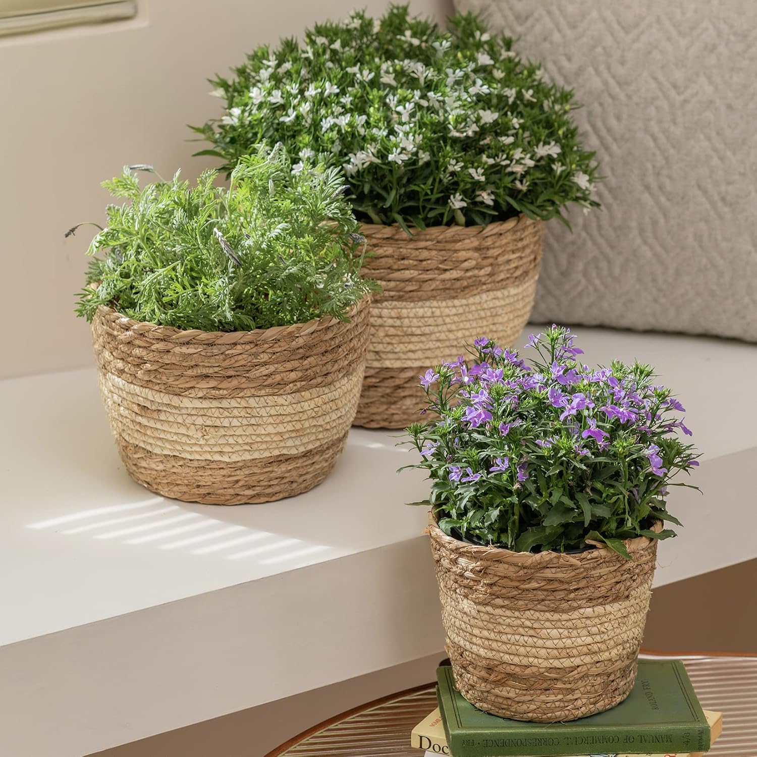 Seagrass Planter Basket Indoor Outdoor / Beige / 10.2"+8.7"+6.7 / 10 Inch