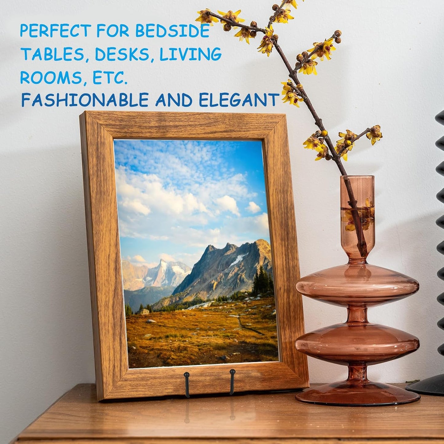 Picture Stands Plate Stands for Display Large Book Stands for Picture / Black / 12 Inch / Set of 5