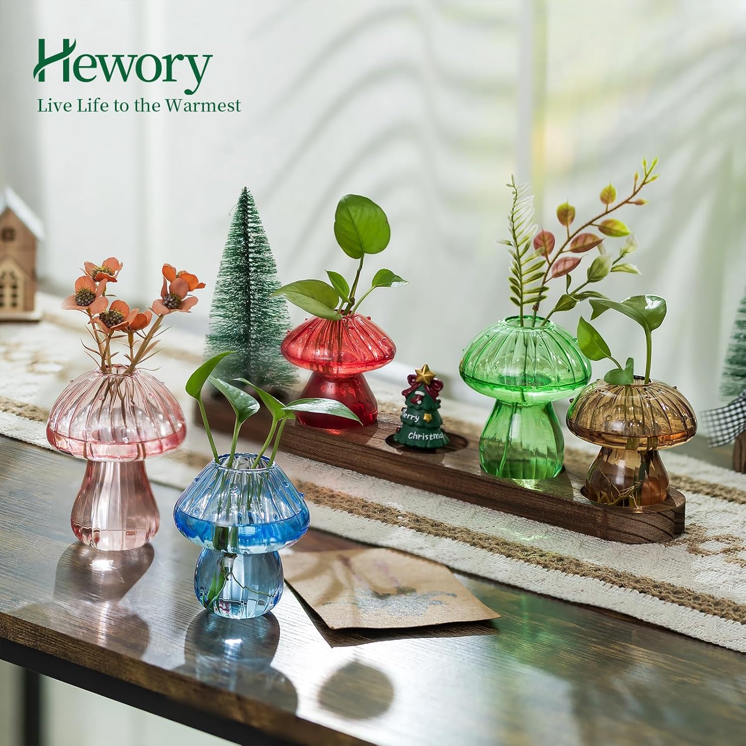 Wooden Stand / Glass Propagation Station for Plant / Colored / Set of 5