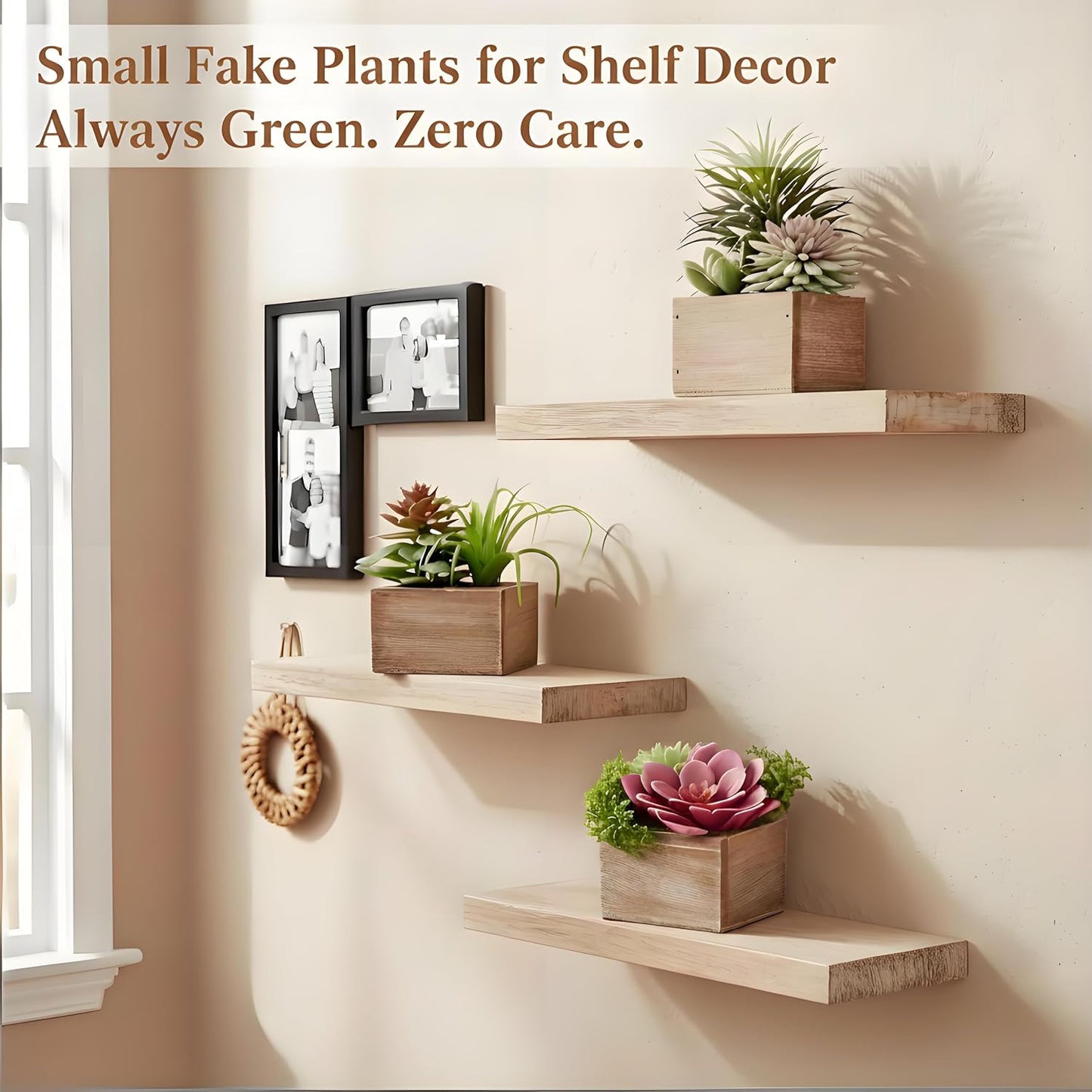 Succulent Plants Artificial / Symphony / Set of 3