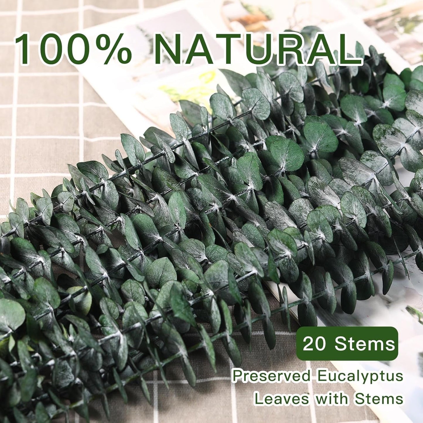 17'' Natural Real Live Greenery Eucalyptus Leaves Branches Hanging Shower / Green / Set of 20